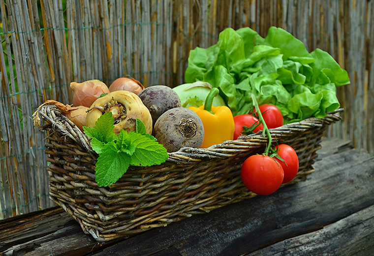 Warzywa z własnych upraw ekologicznych w tunelu foliowym