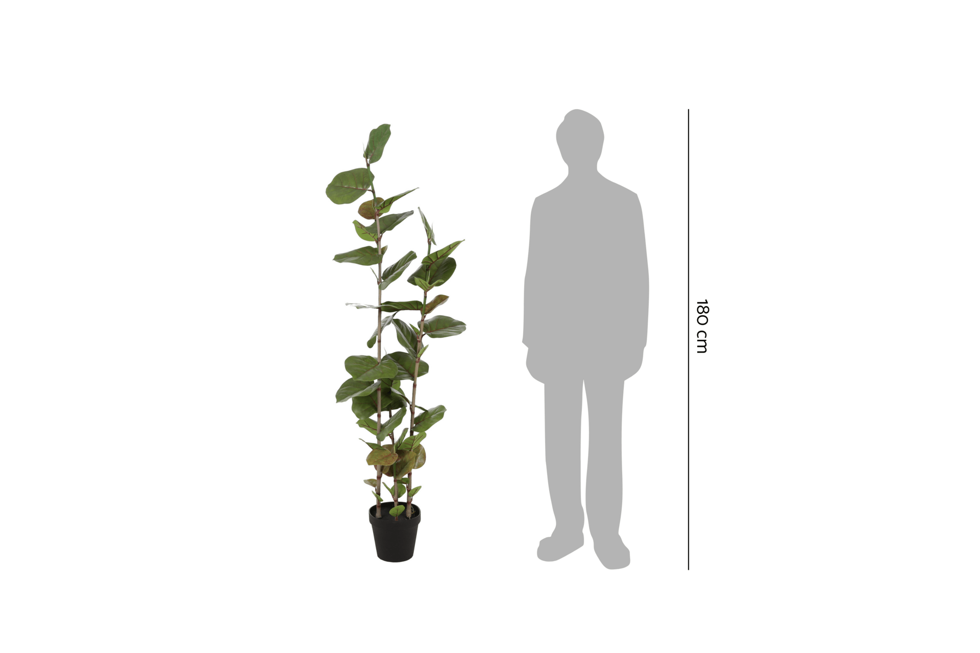 Sztuczna kokkoloba 170 cm