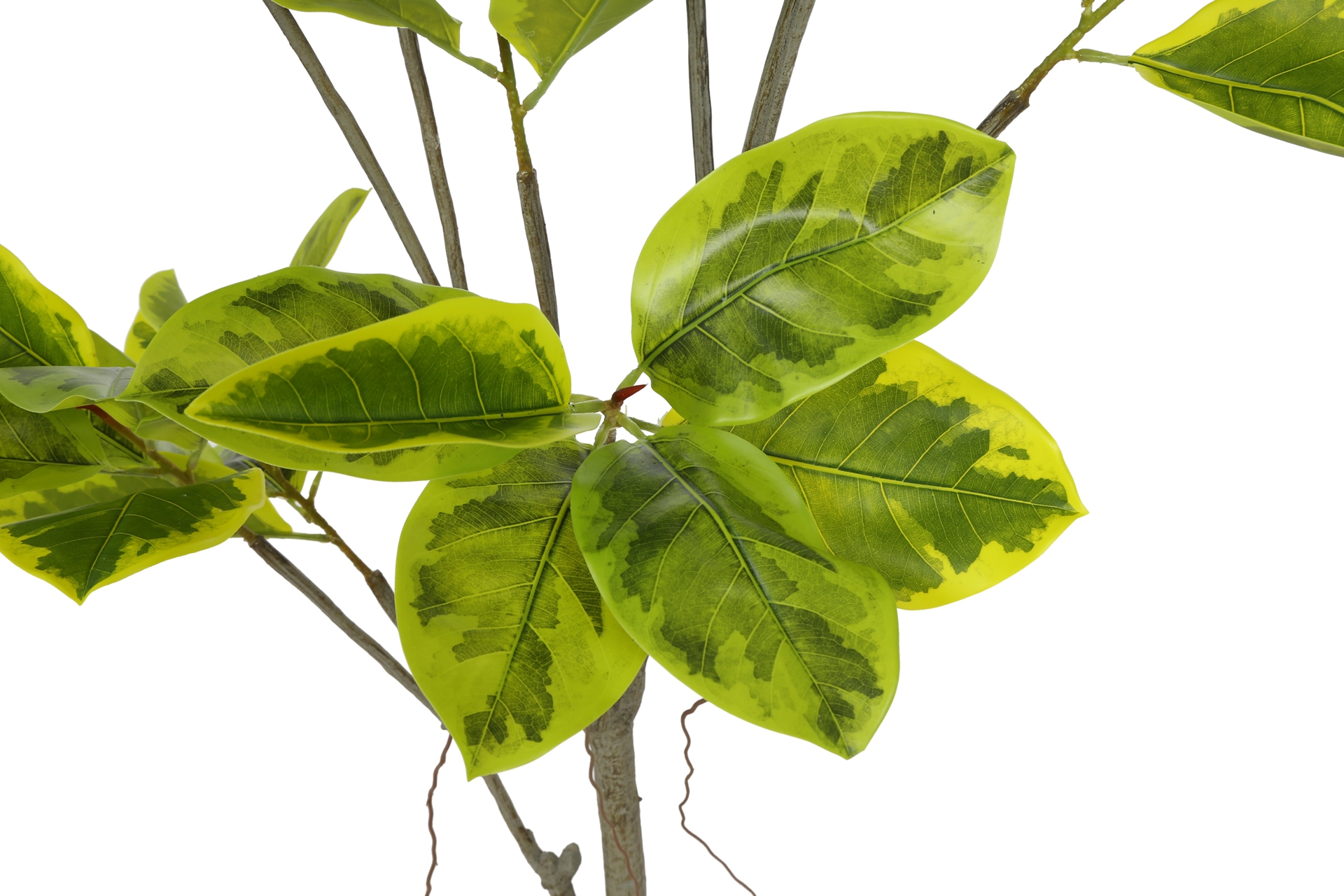 Sztuczny fikus 180 cm