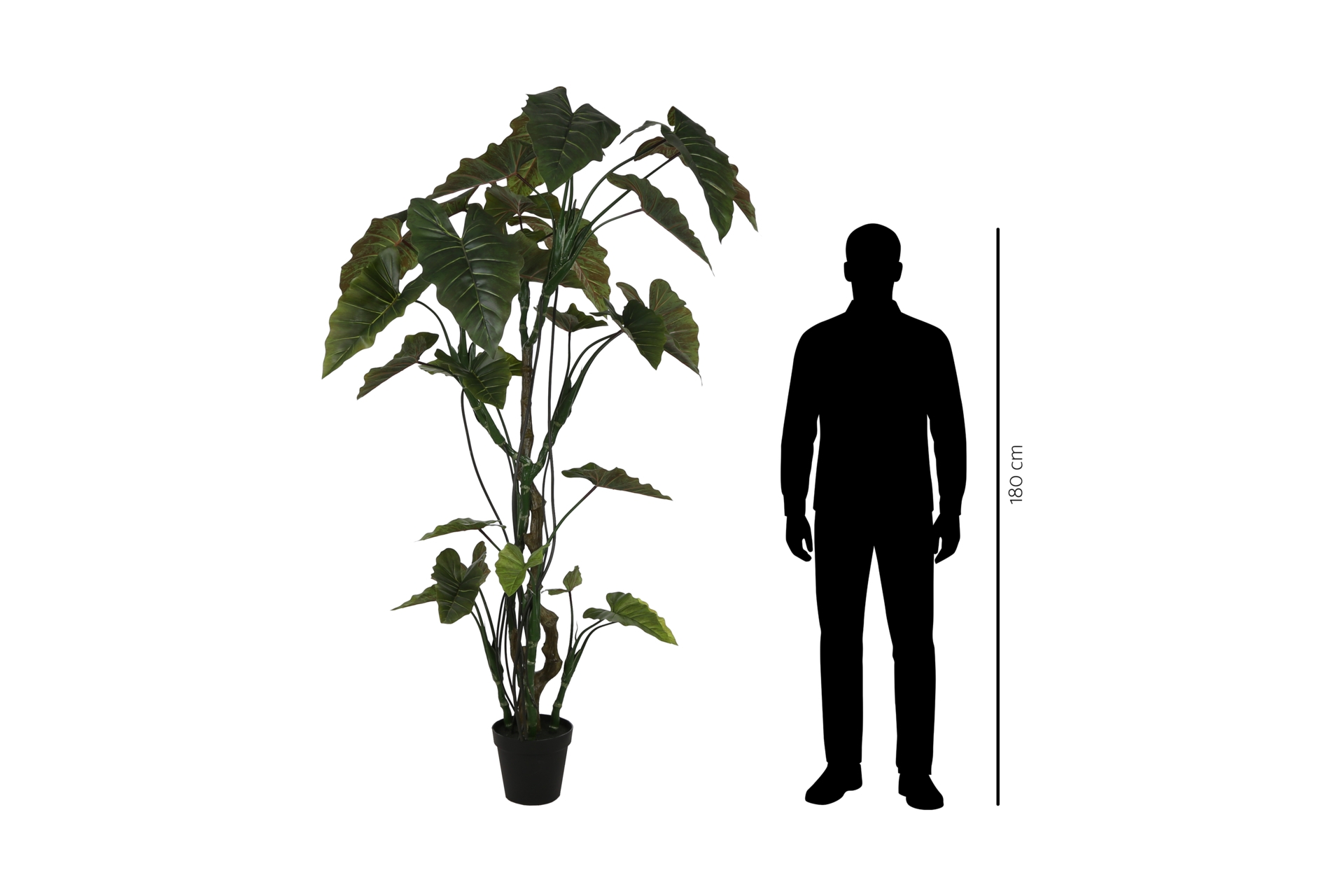 Sztuczna kolokazja 220 cm