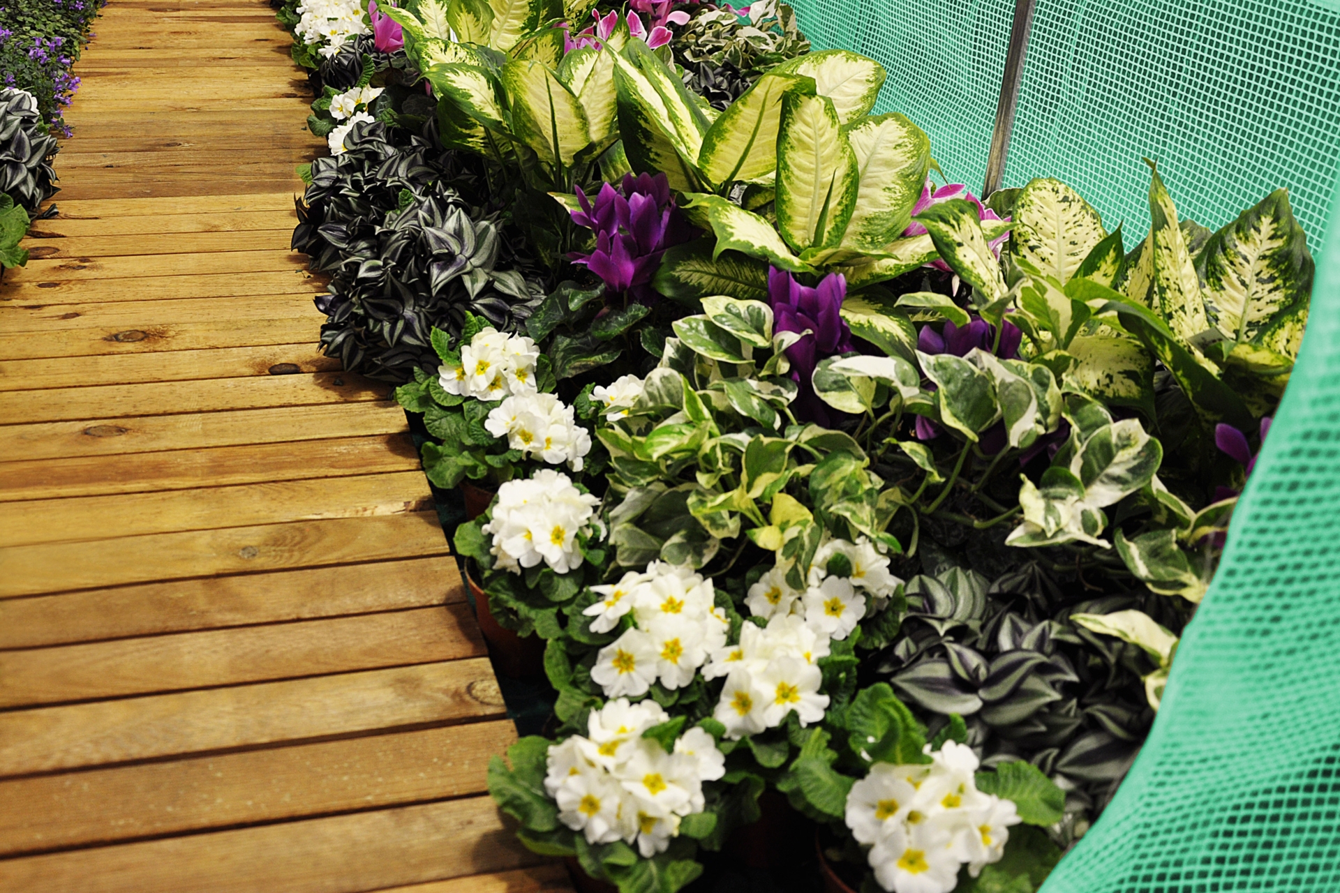 Tunel foliowy 2x3,5 m wzmocniony zielony