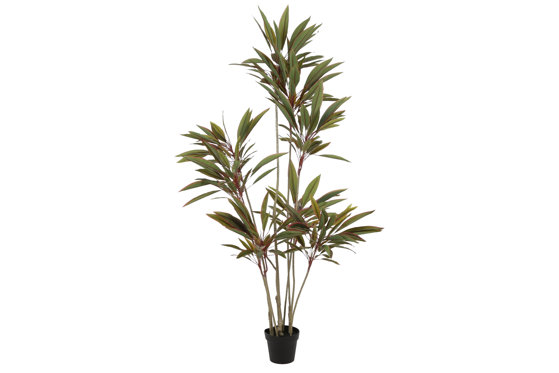 Sztuczna kordylina 180 cm