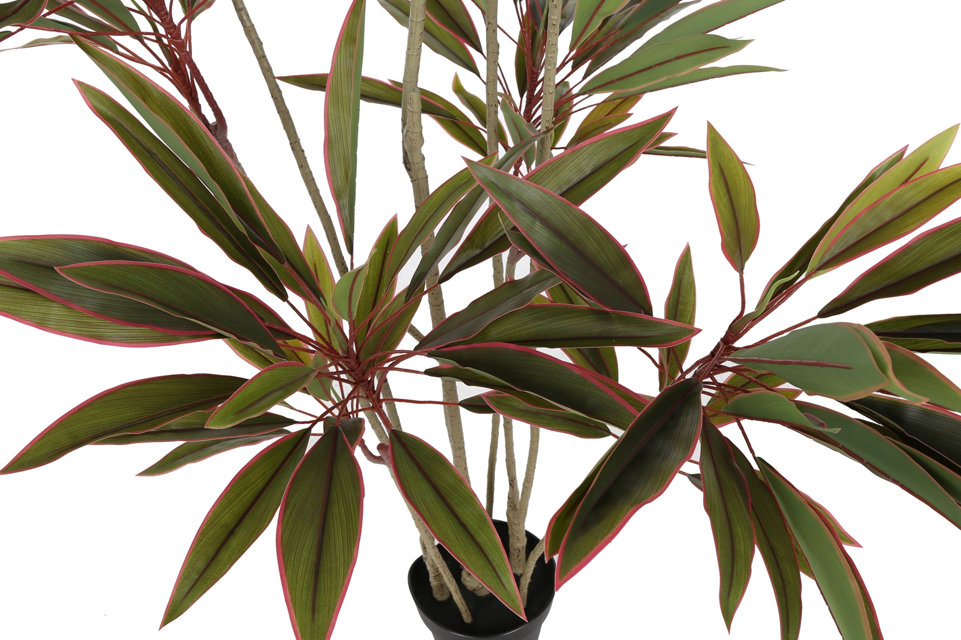 Sztuczna kordylina 180 cm