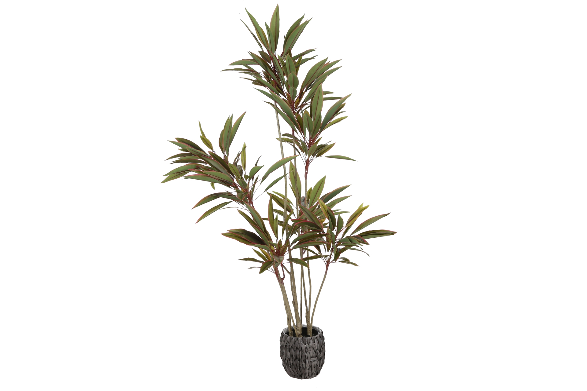 Sztuczna kordylina 180 cm