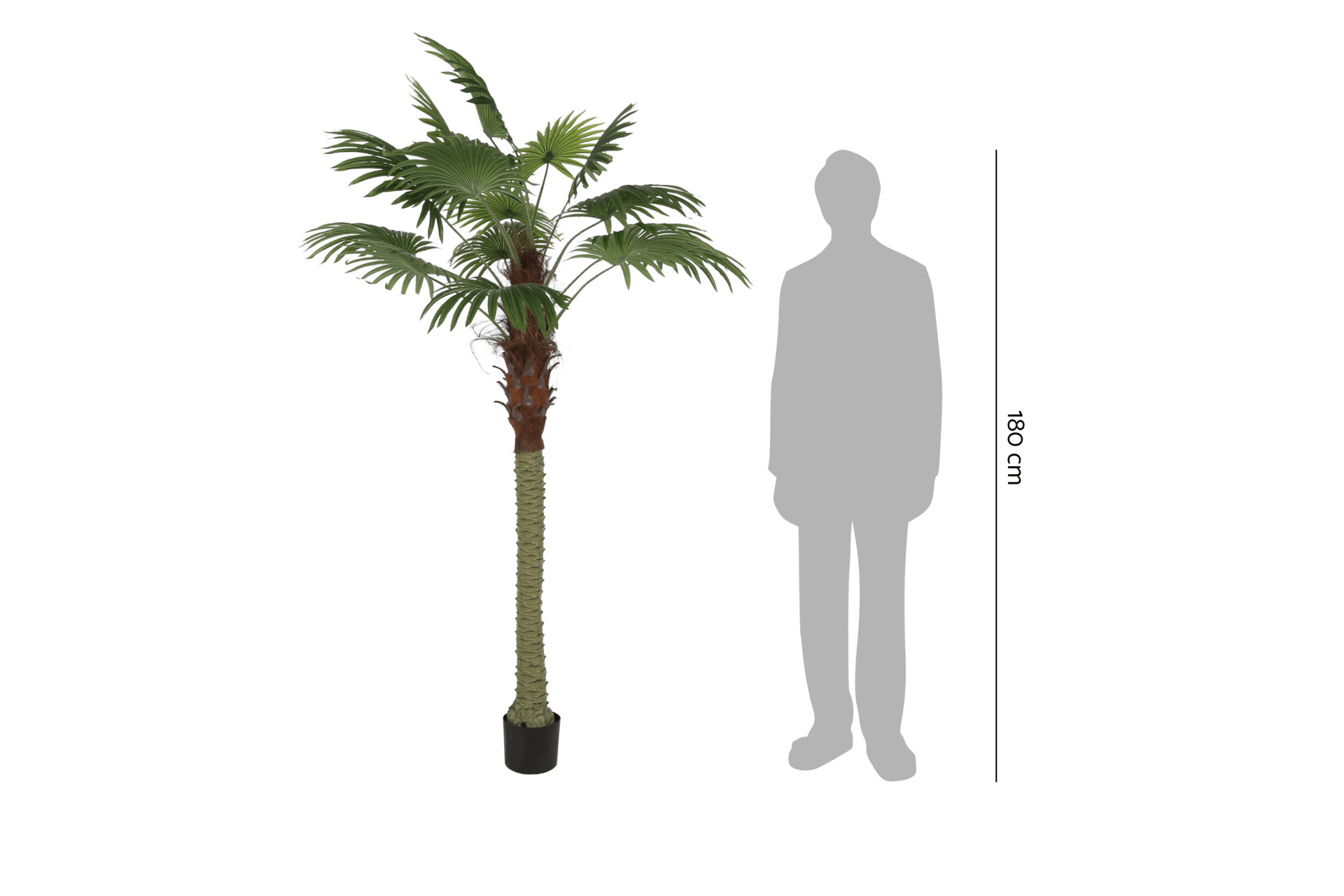 Sztuczna palma wachlarzowa 200 cm 
