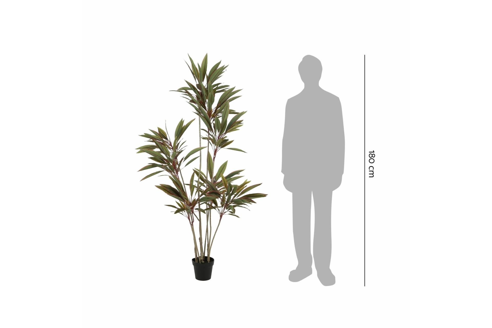 Sztuczna kordylina 180 cm