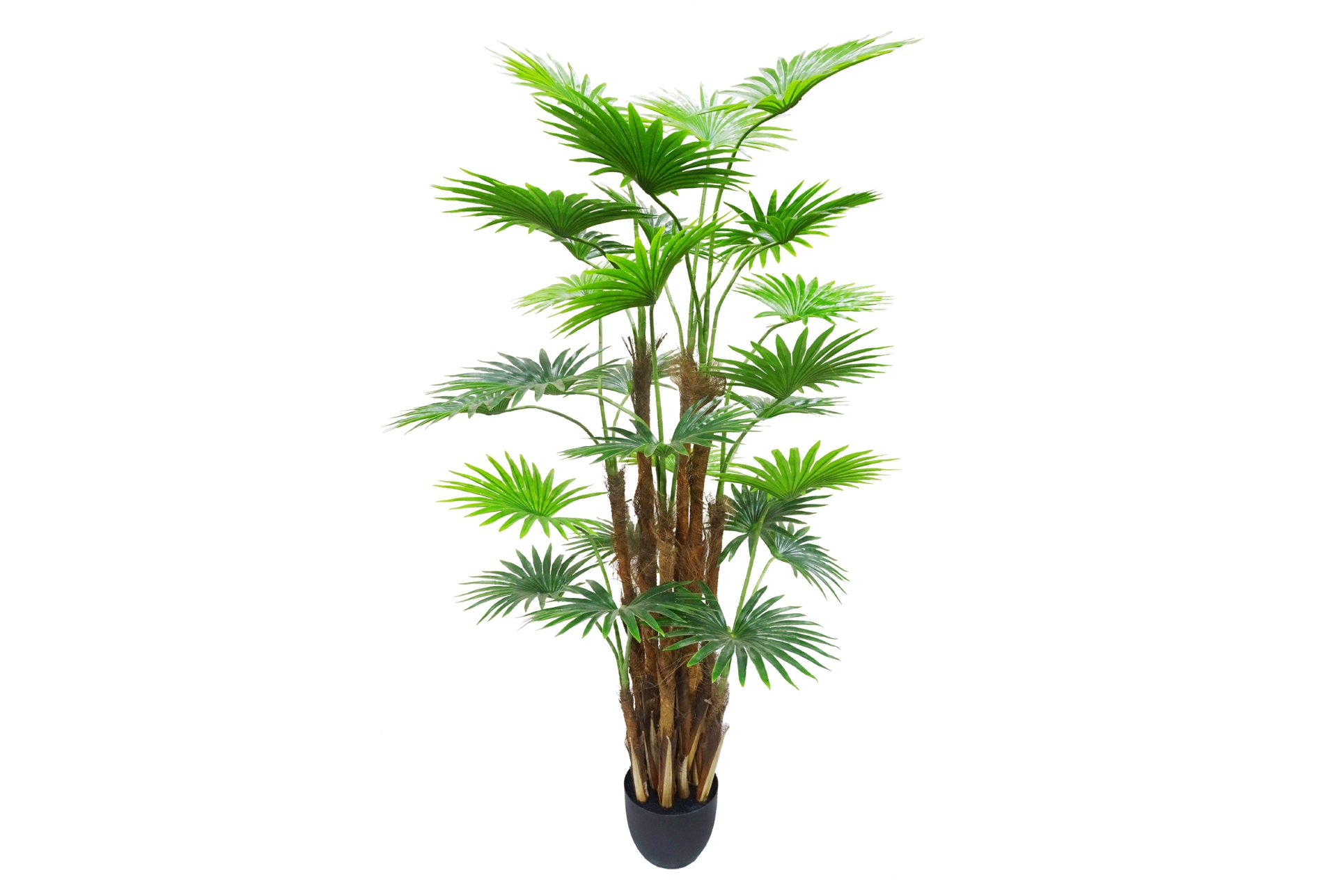 Sztuczna palma wachlarzowa 170 cm