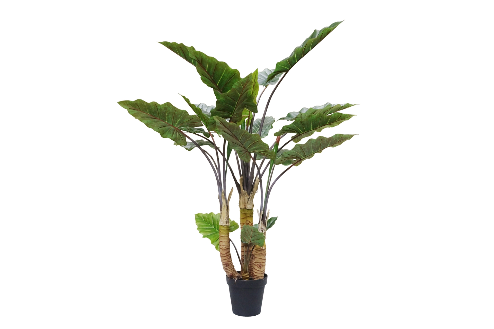 Sztuczna kolokazja 170 cm