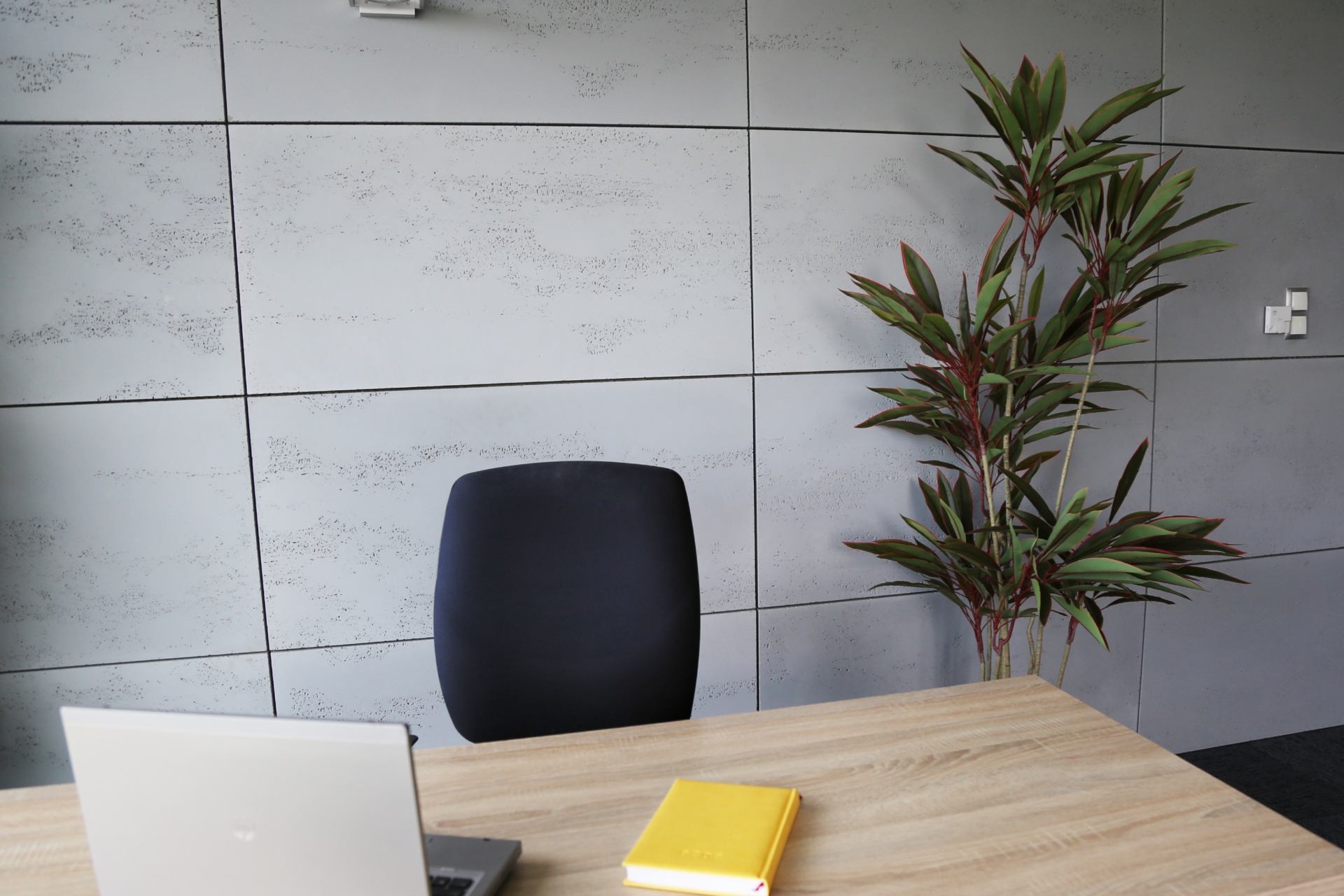 Sztuczna kordylina 180 cm