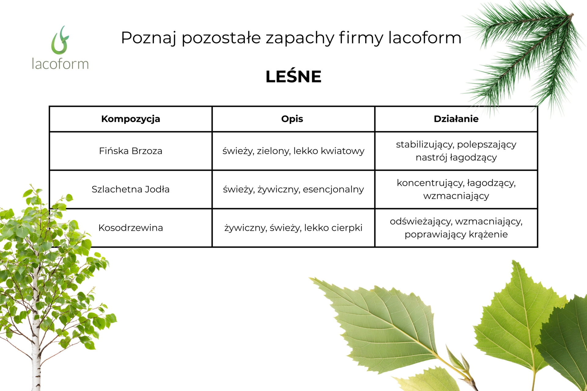 Zapach do sauny Lacoform zimowe marzenie 250 ml 