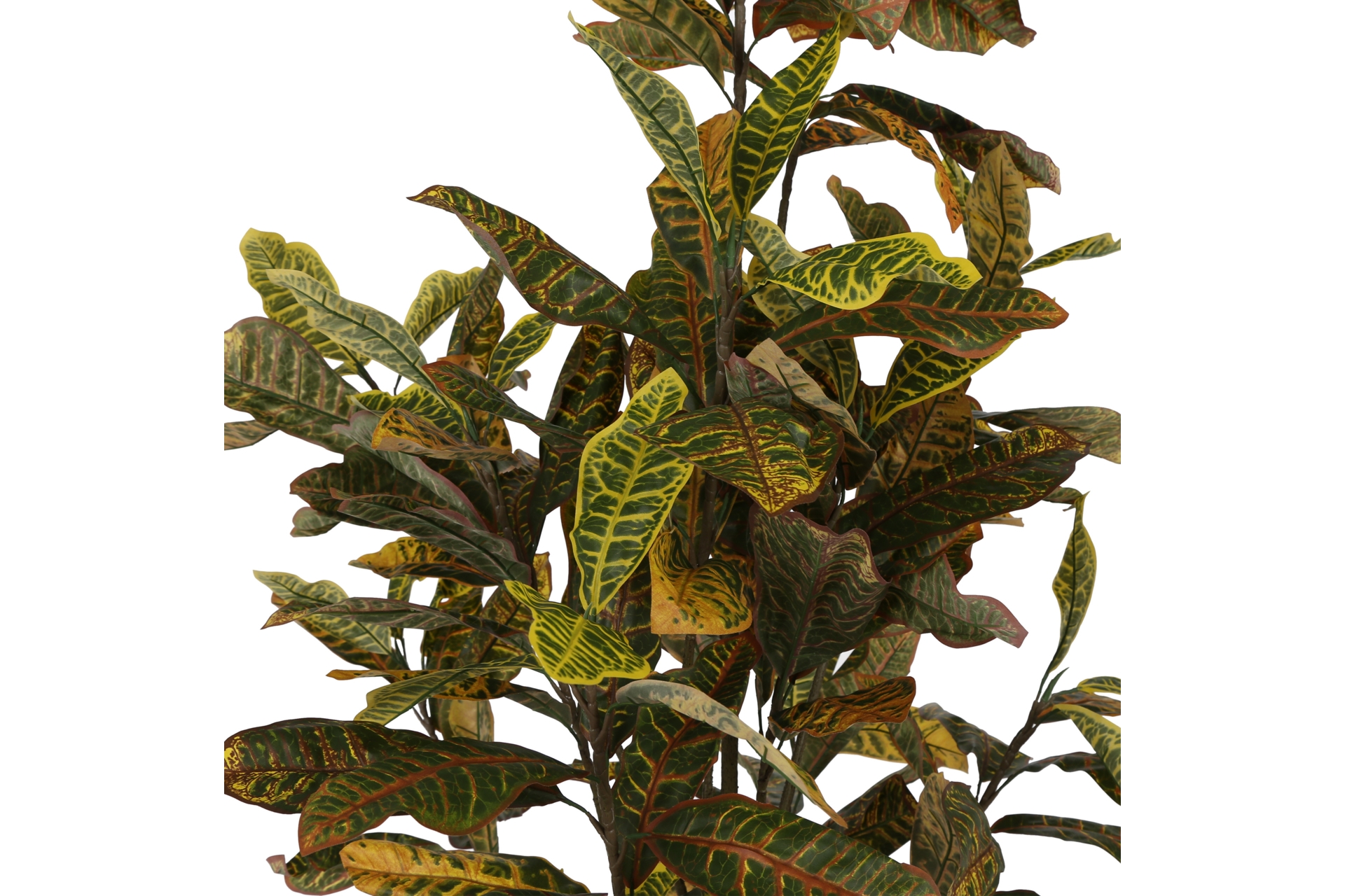 Sztuczny kroton 190 cm