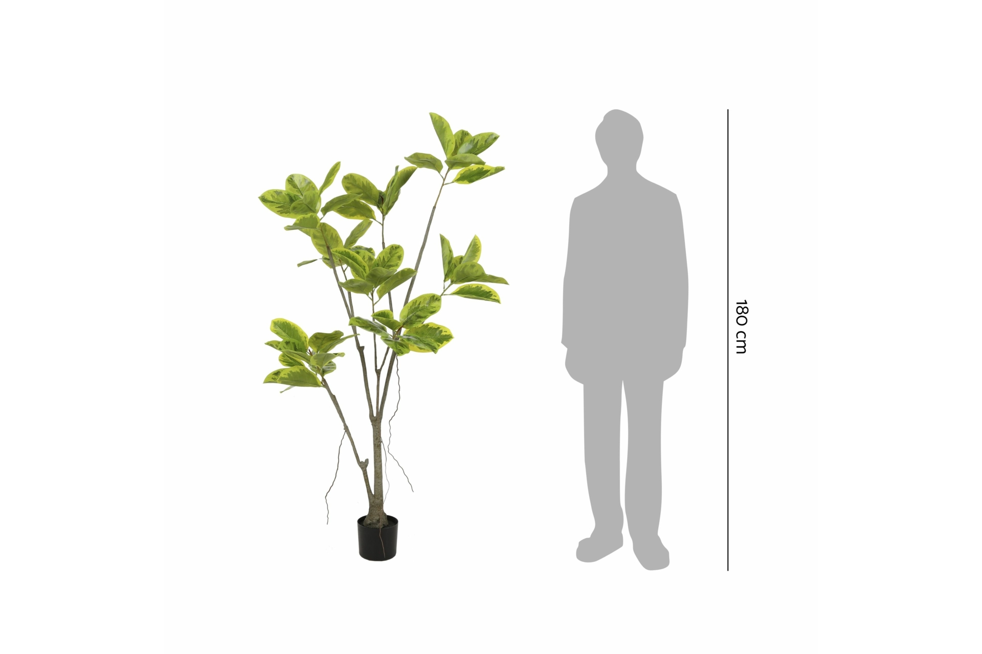 Sztuczny fikus 180 cm