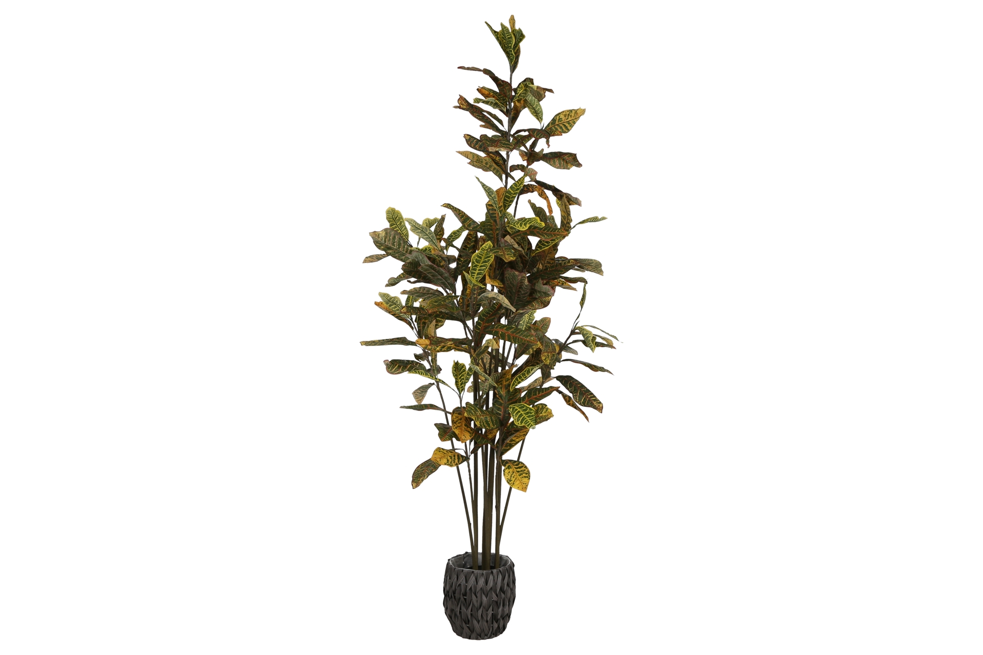 Sztuczny kroton 190 cm