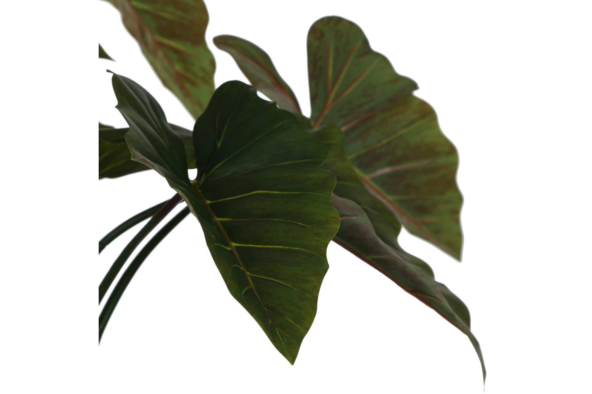 Sztuczna kolokazja 220 cm