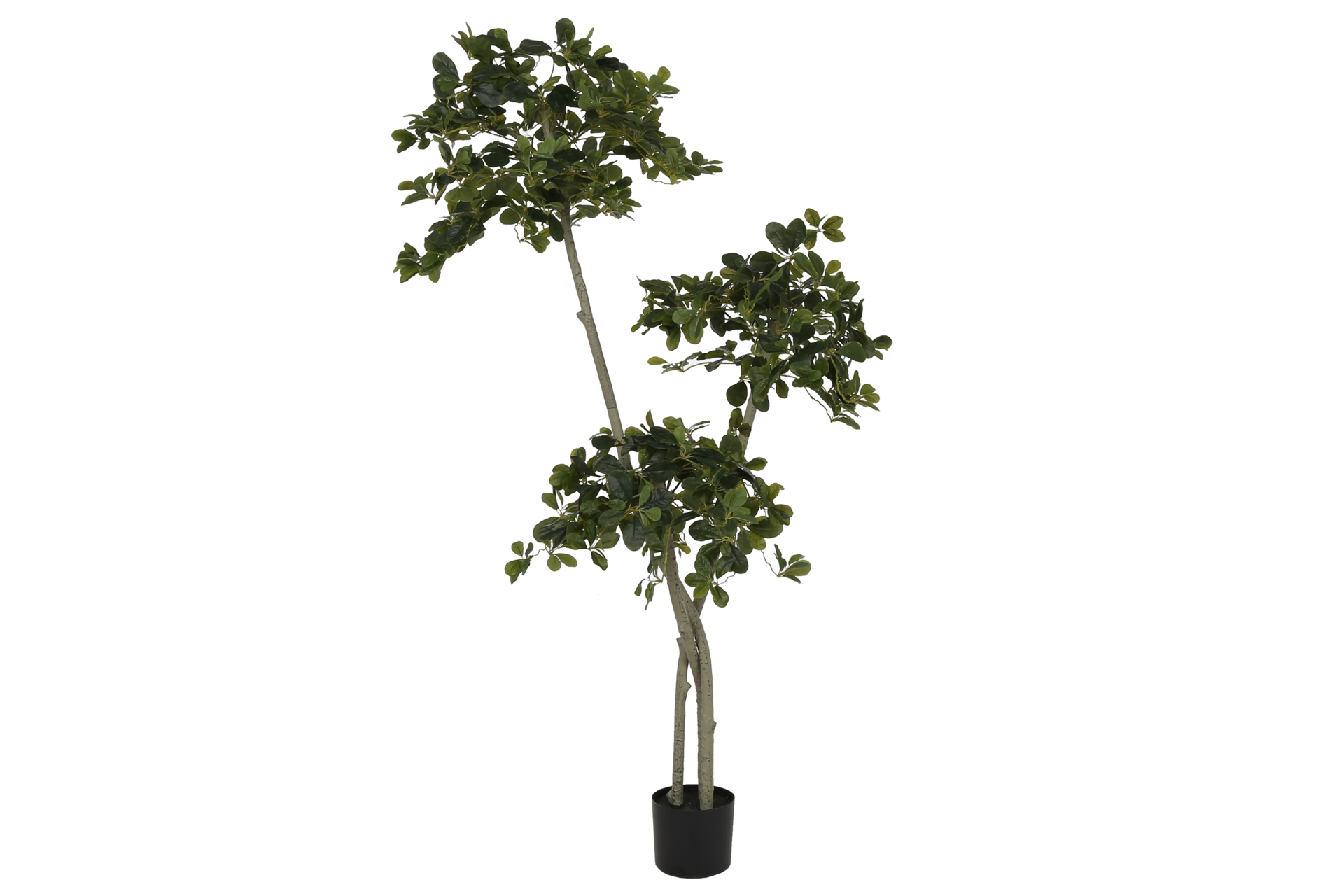 Sztuczne drzewo oliwne wielopienne 180 cm 