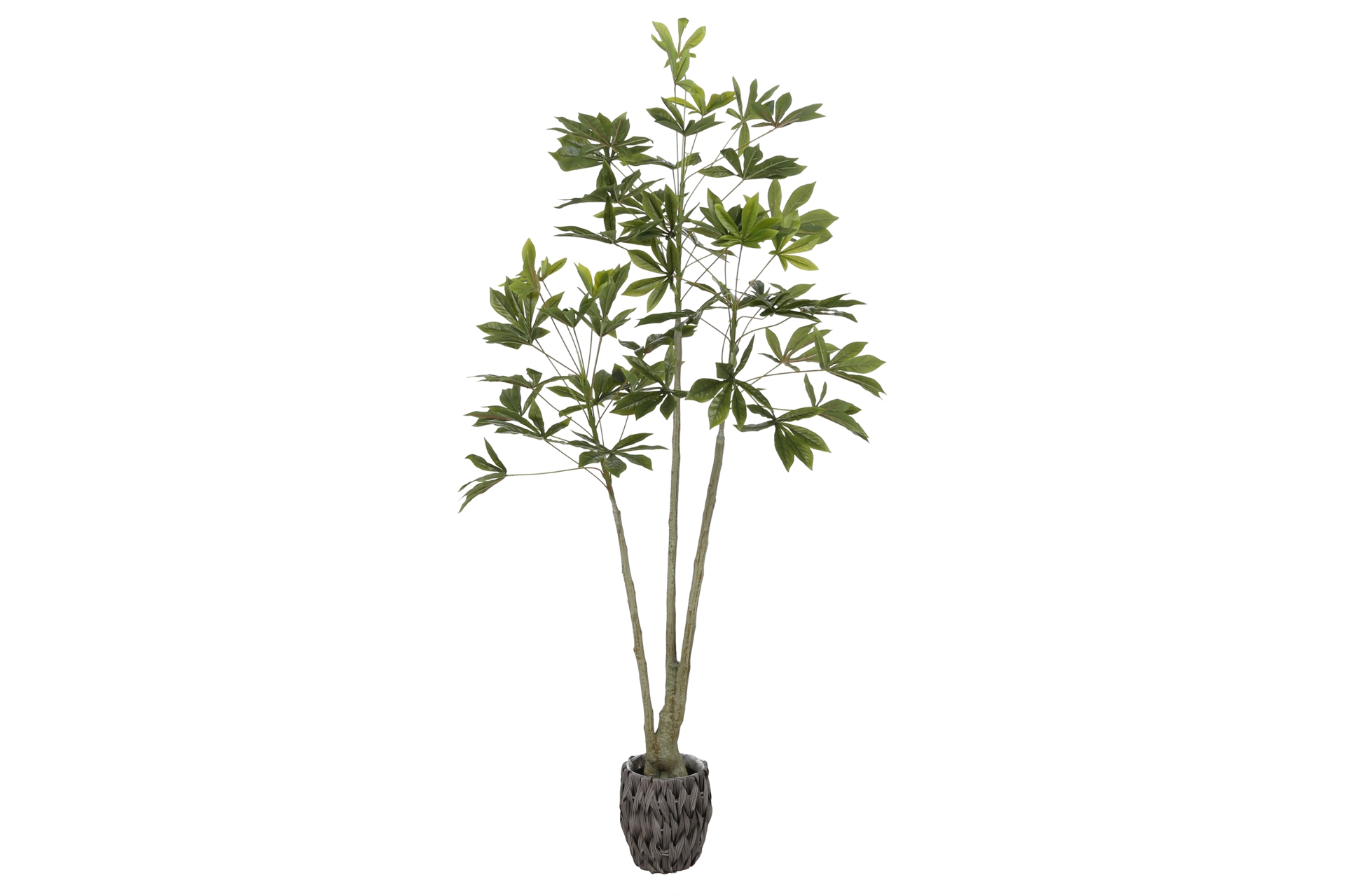 Sztuczne drzewo kasawa 160 cm