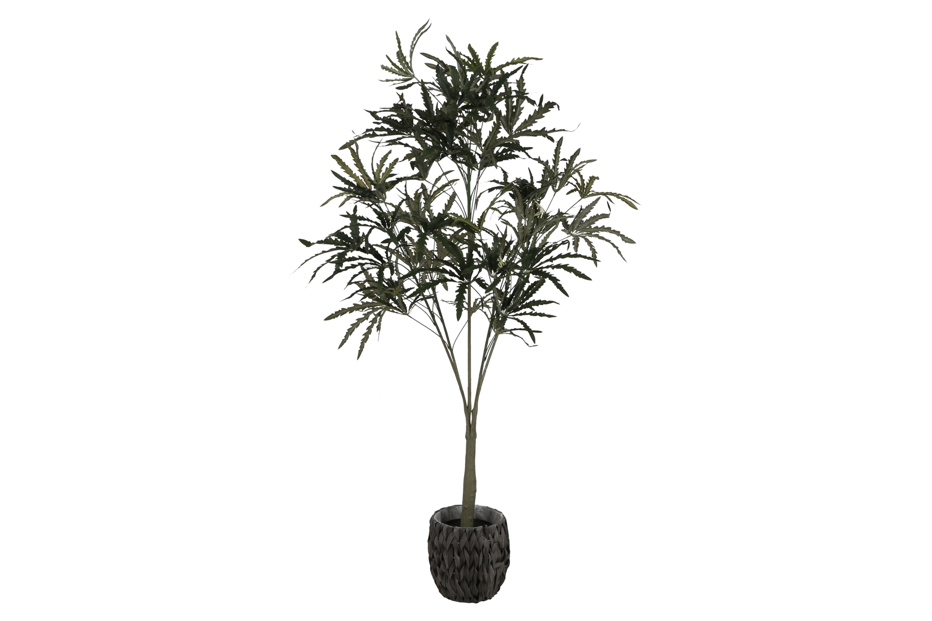 Sztuczna aralia 160 cm