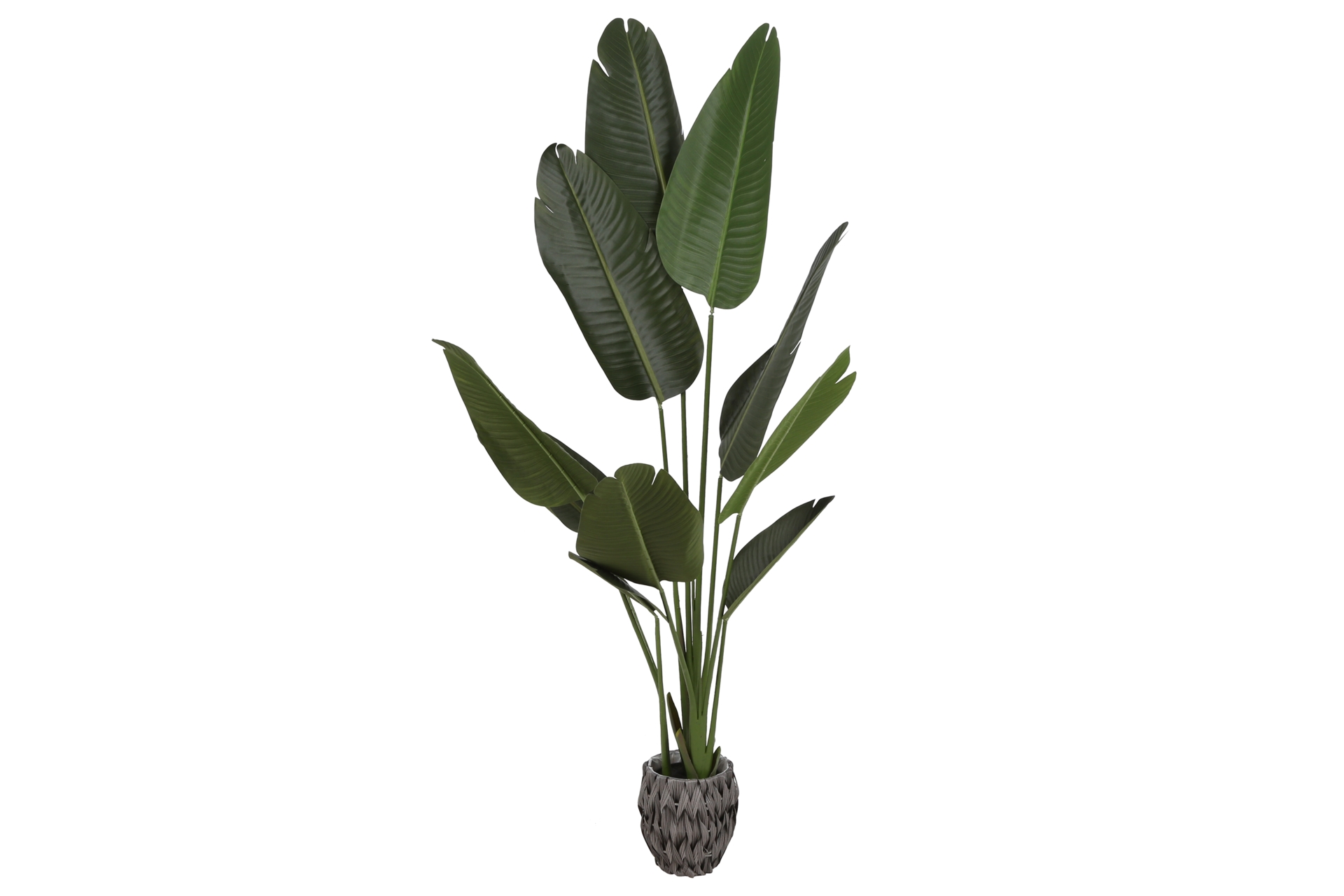 Sztuczna sterlicja 160 cm