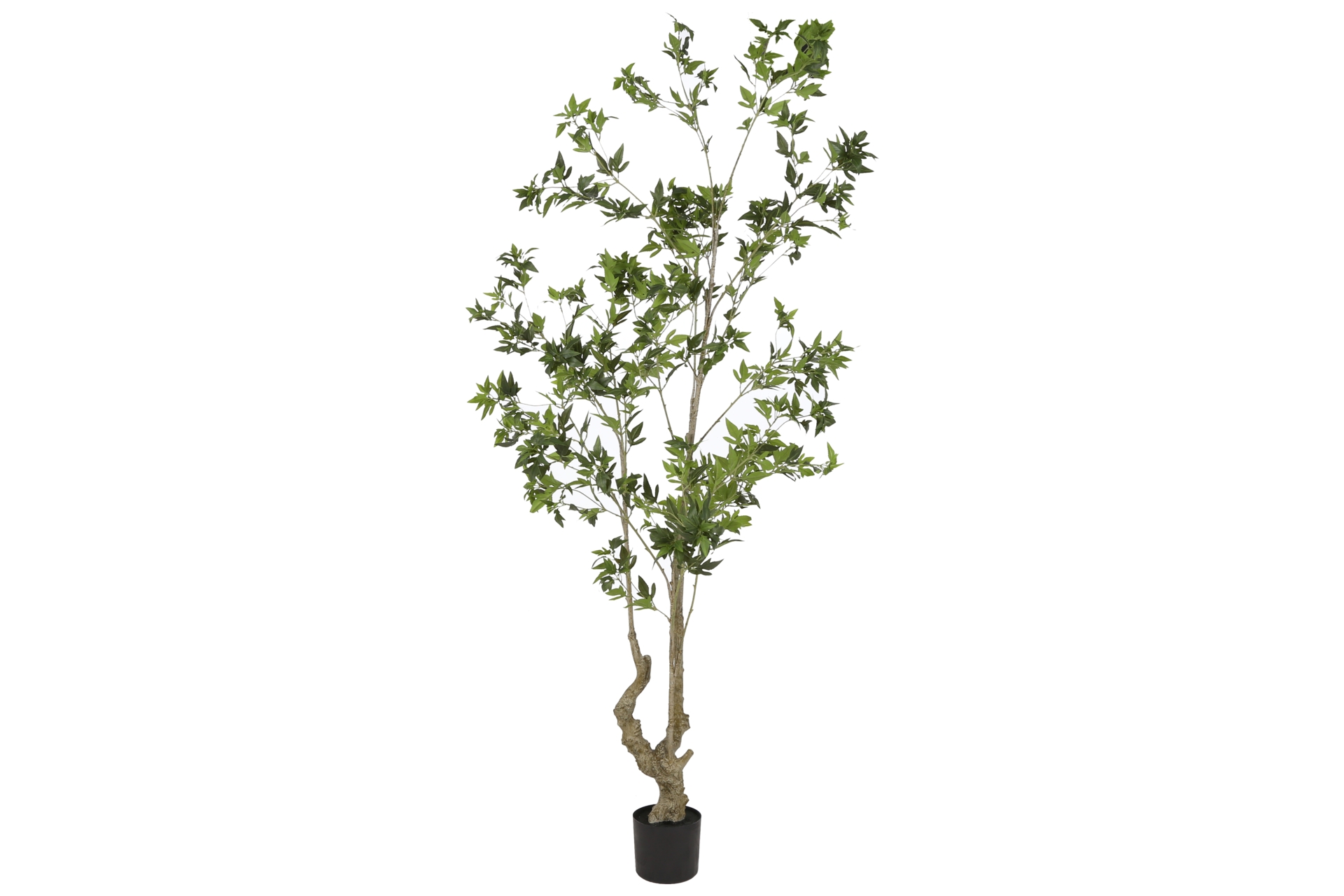 Sztuczny pieris 210 cm