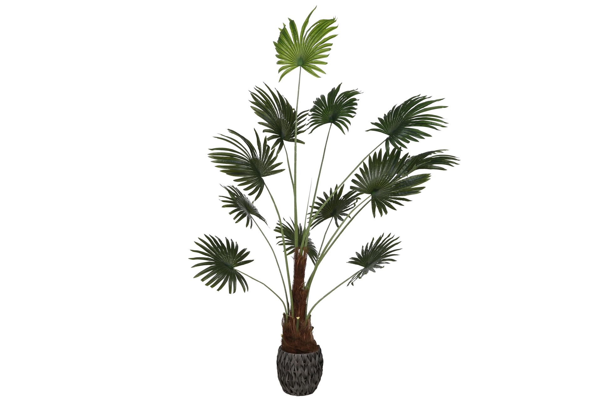 Sztuczna palma wachlarzowa na pniu 200 cm