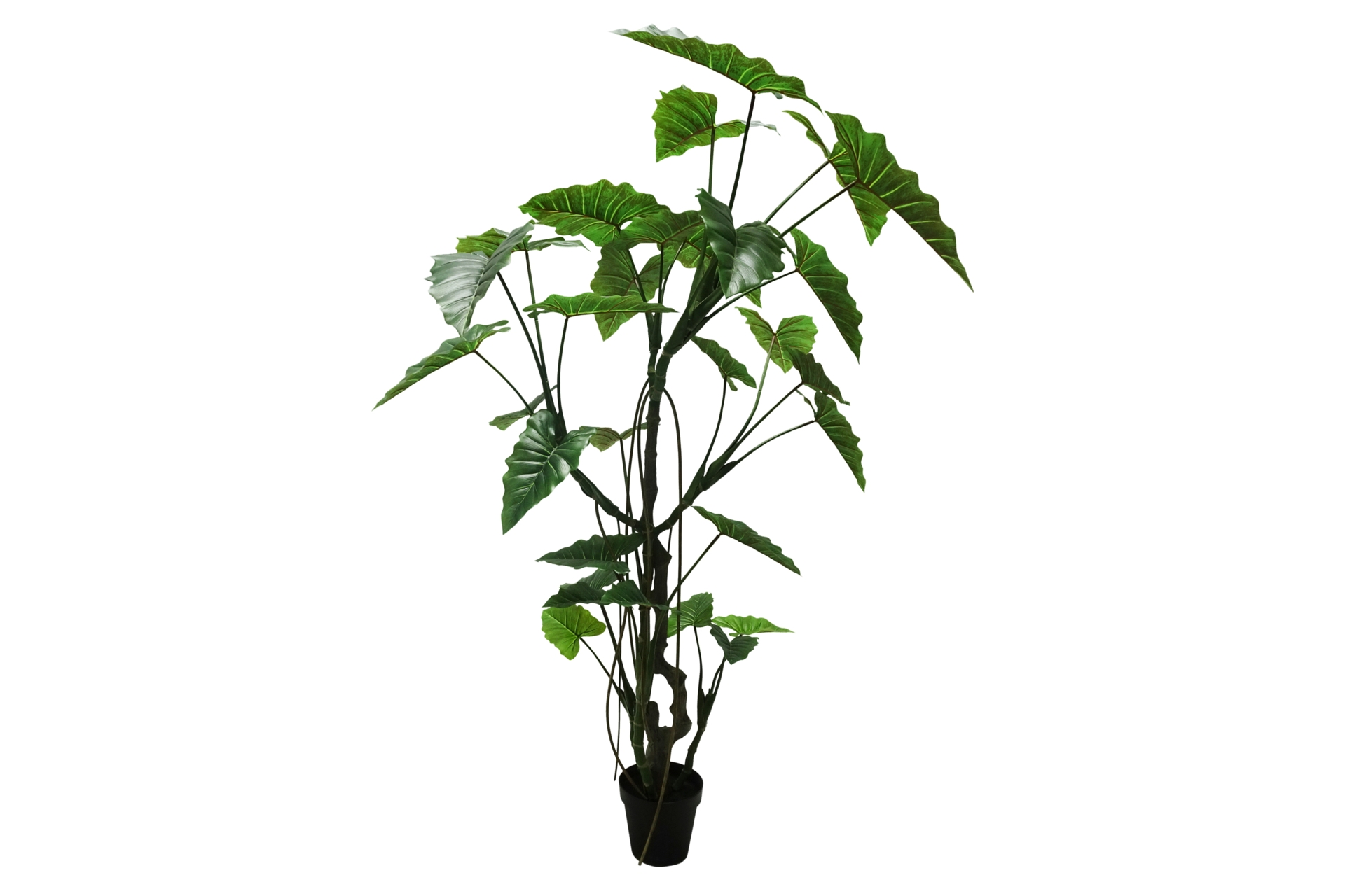 Sztuczna kolokazja 220 cm