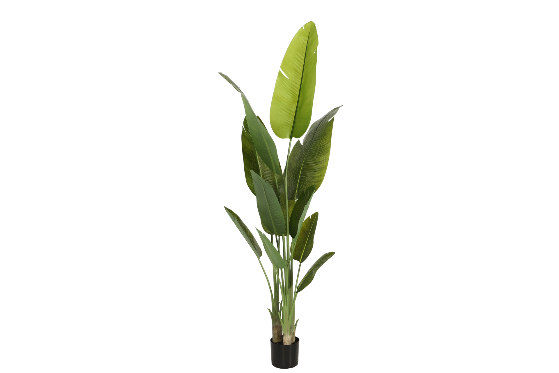 Sztuczny pielgrzan madagaskarski 200 cm