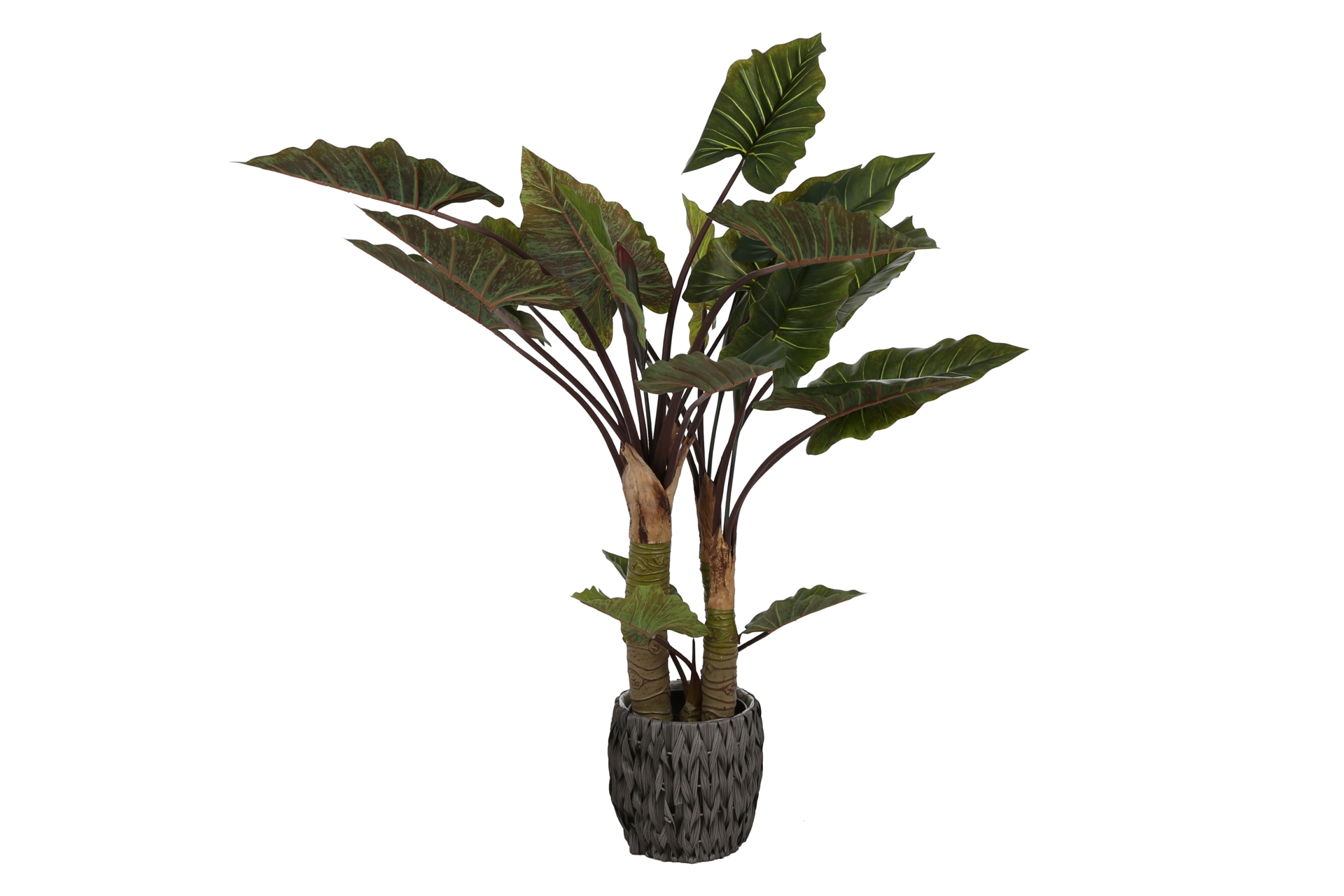 Sztuczna kolokazja 170 cm