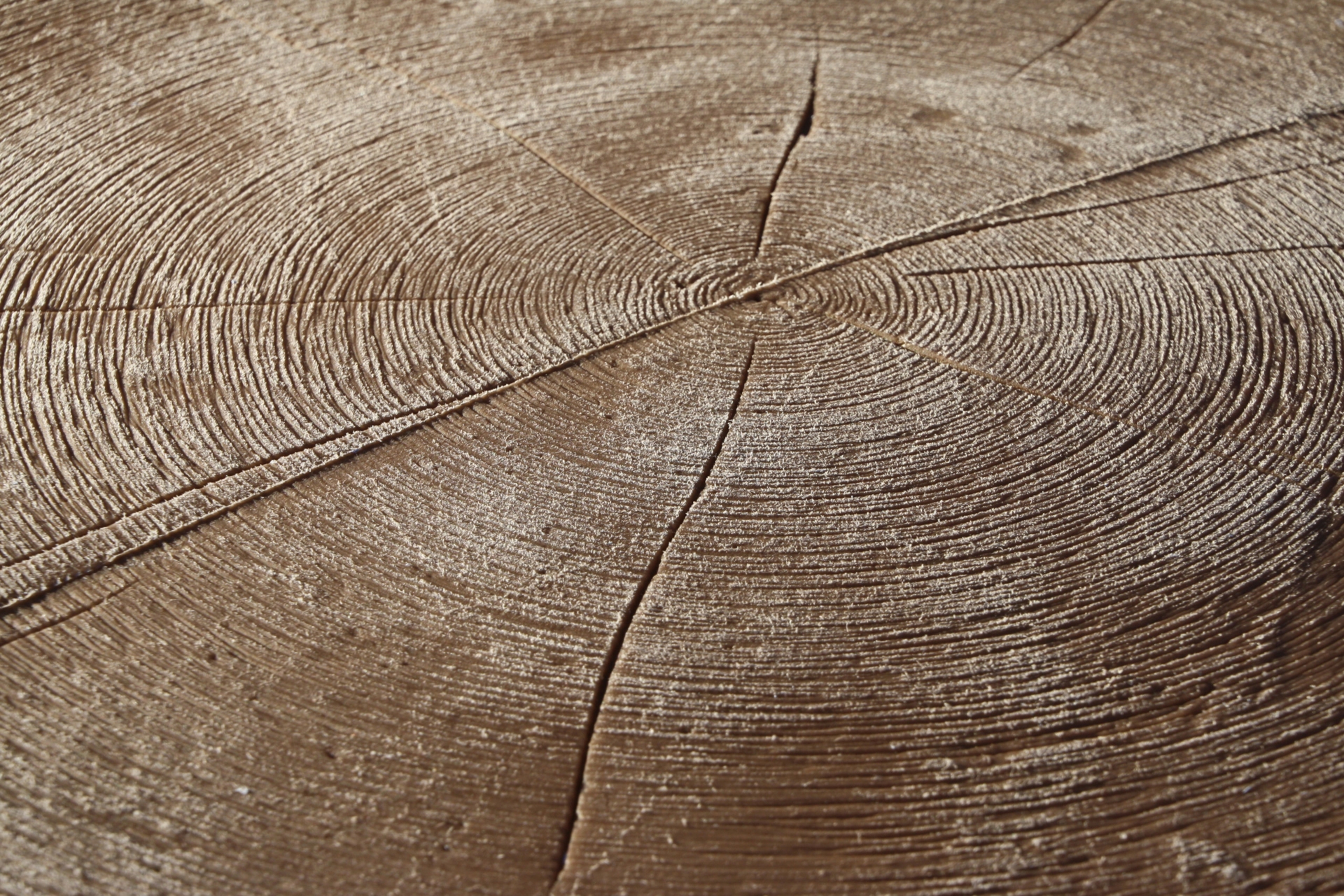 Zbiornik na deszczówkę MPI Little Tree 250 l