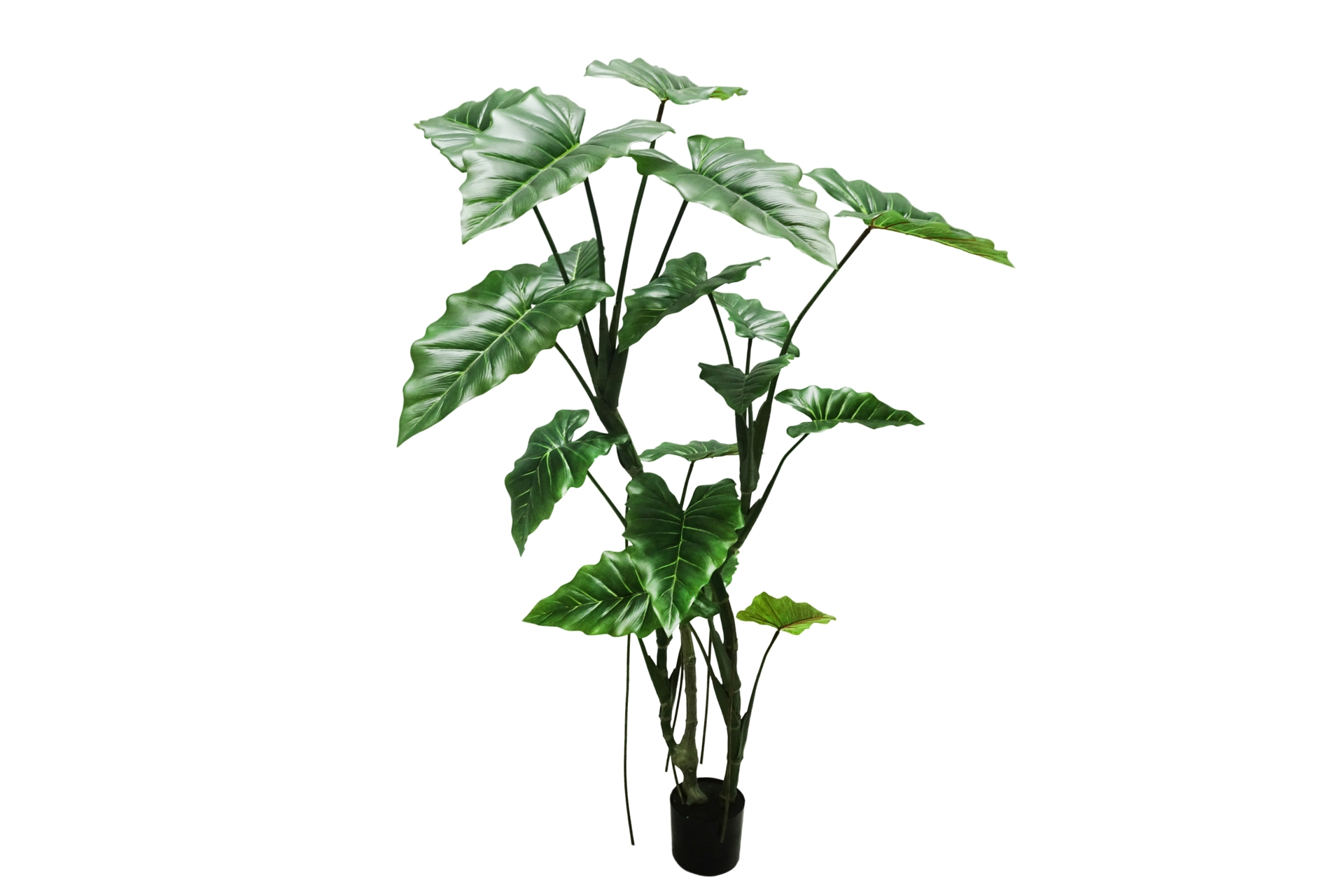 Sztuczna kolokazja 160 cm