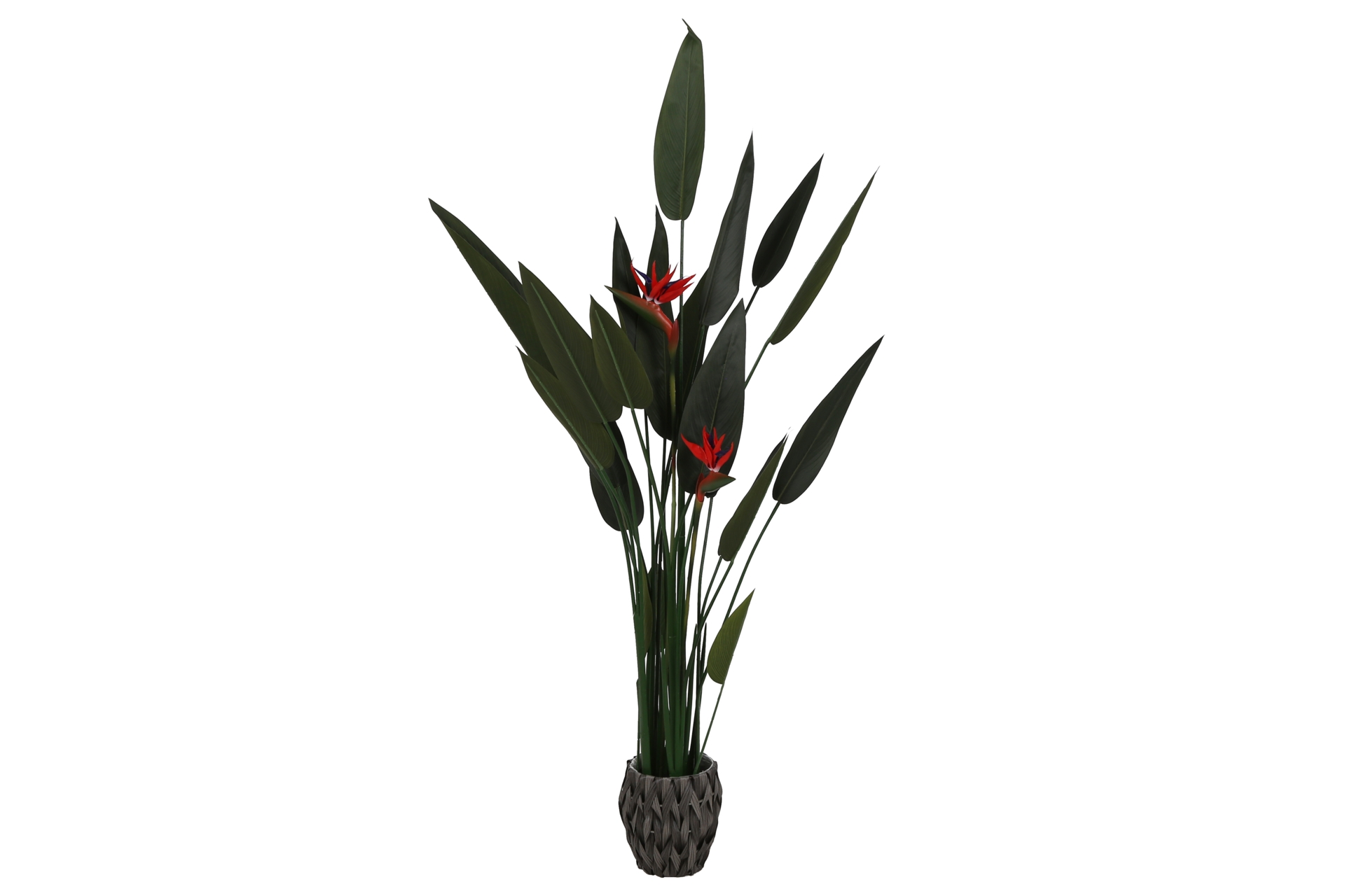 Sztuczna sterlicja rajski ptak 160 cm