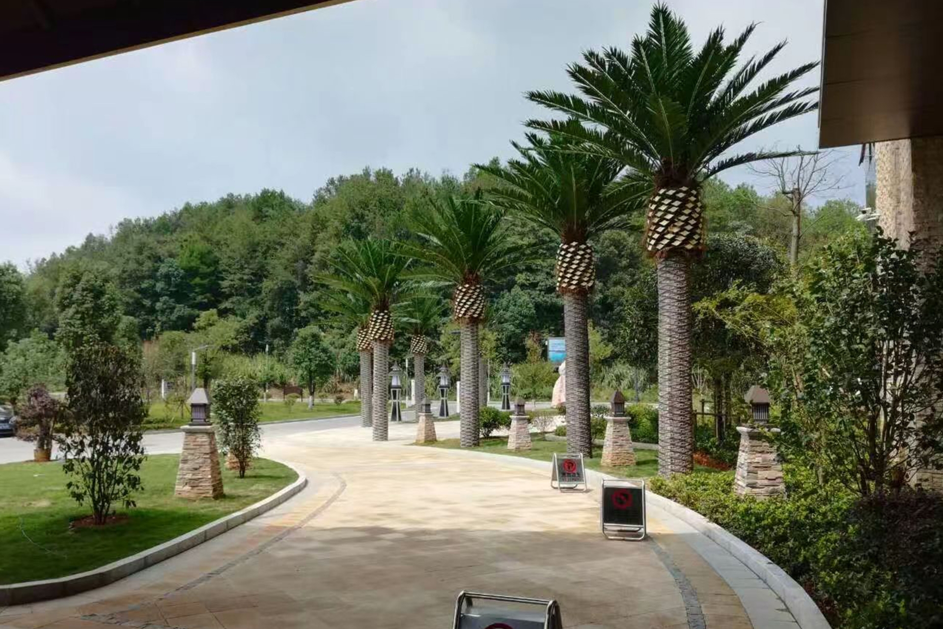 Sztuczna palma daktylowa 8 m