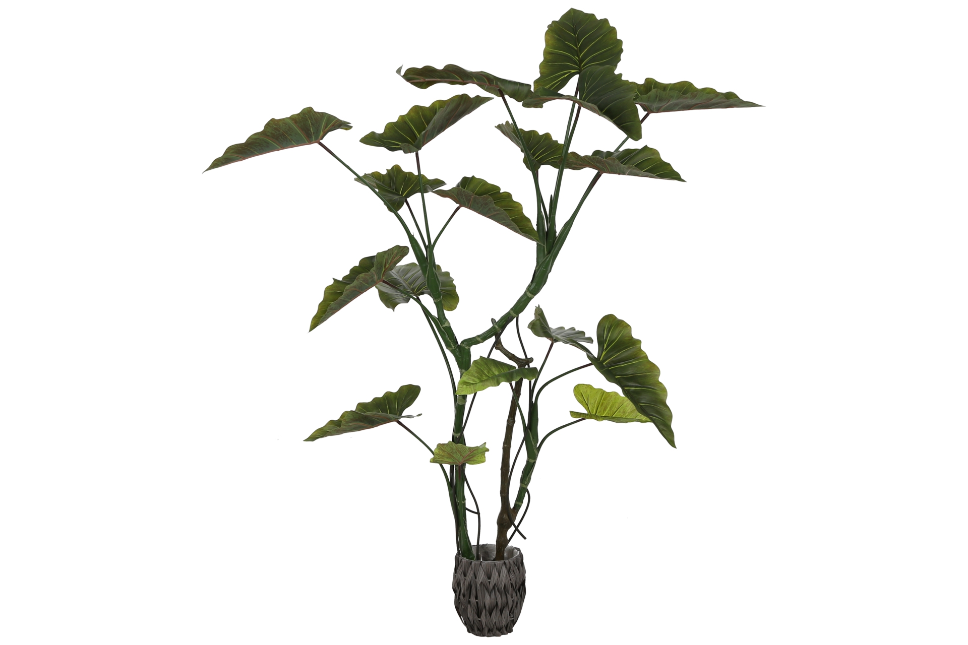 Sztuczna kolokazja 160 cm