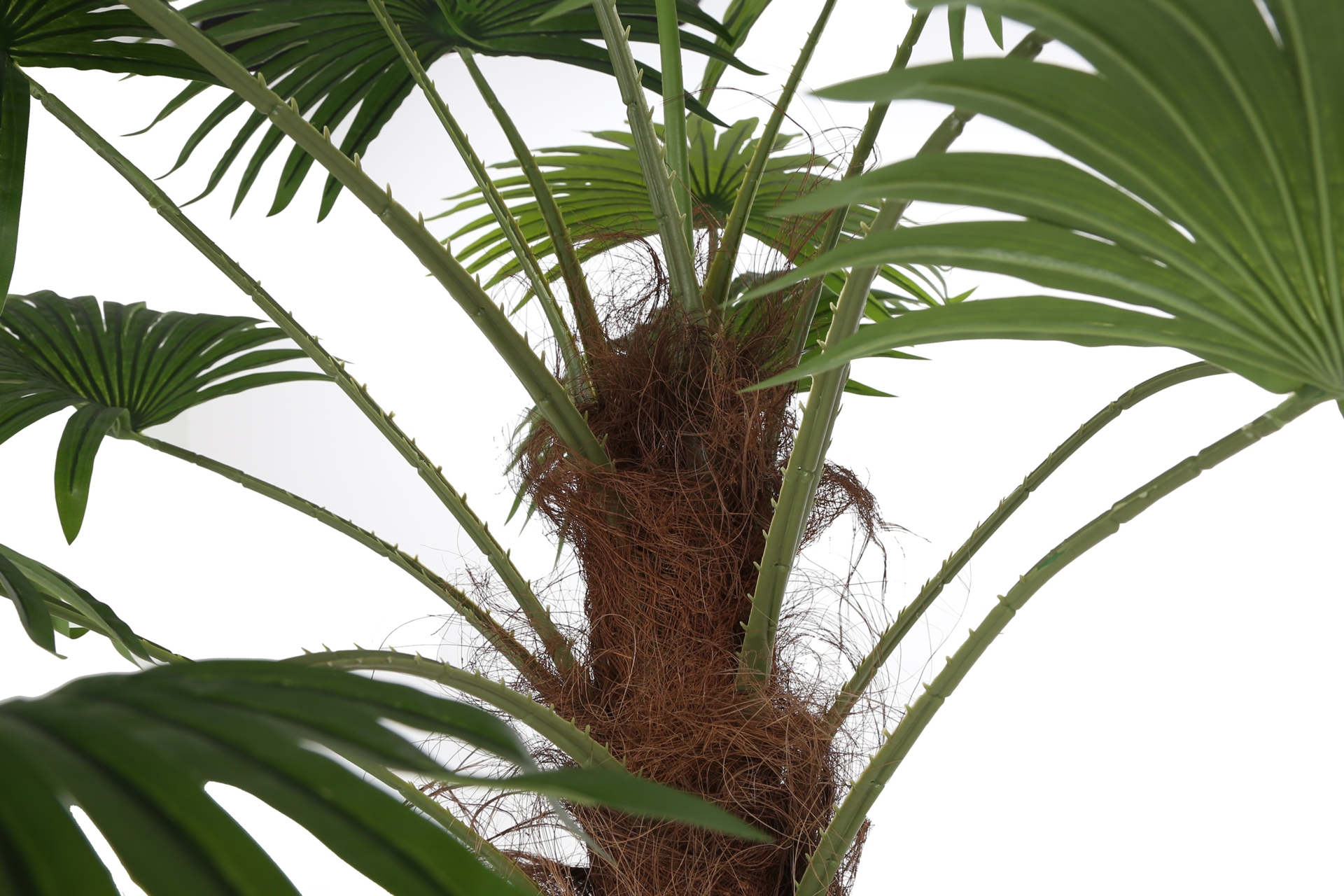 Sztuczna palma wachlarzowa 200 cm 