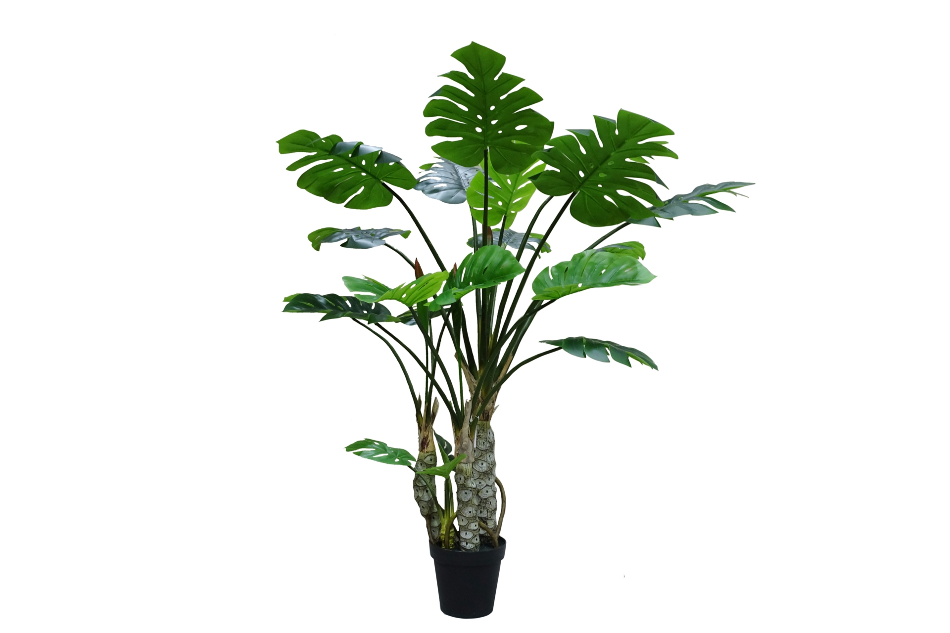 Sztuczna monstera wielopienna 170 cm