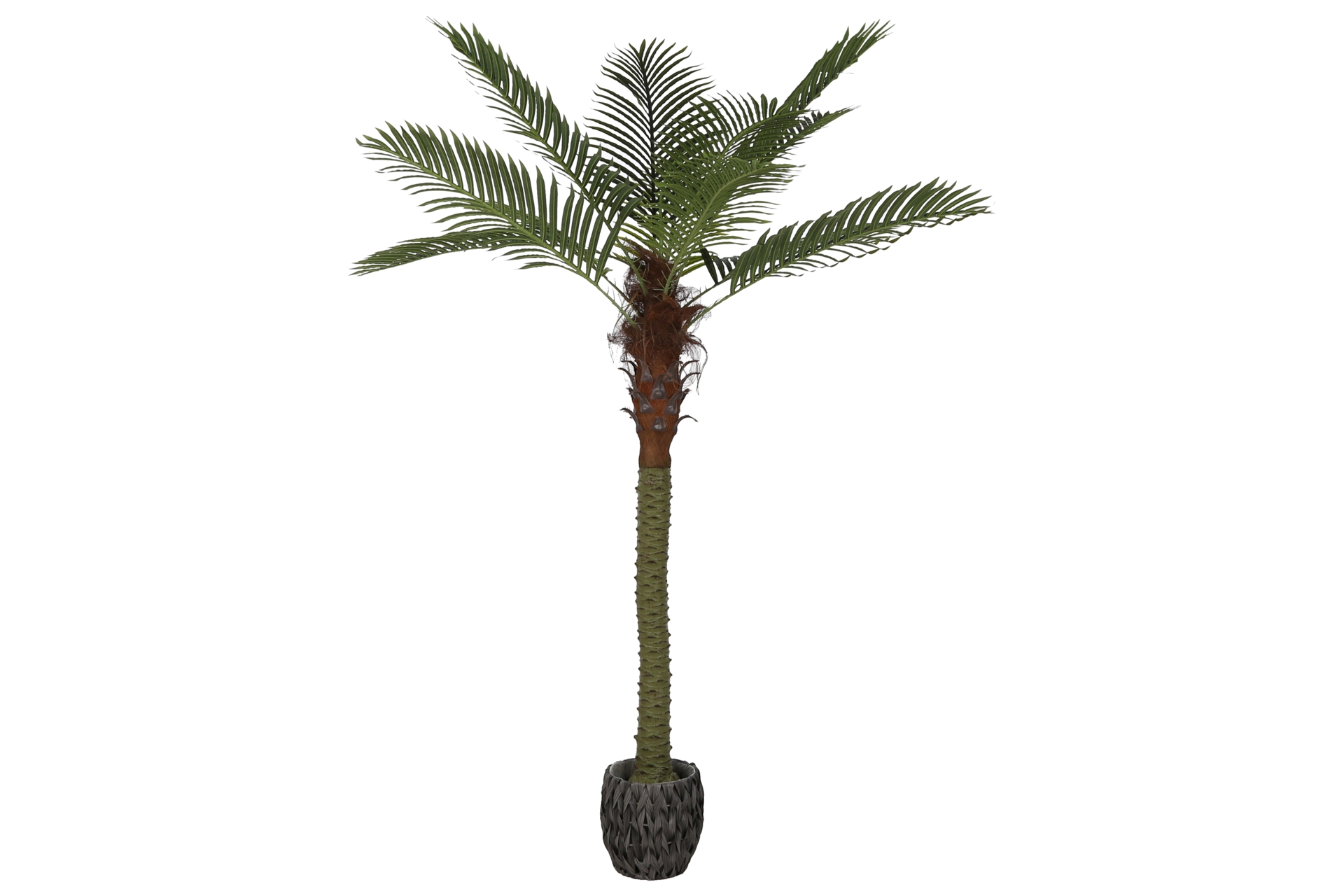 Sztuczna palma na pniu 200 cm