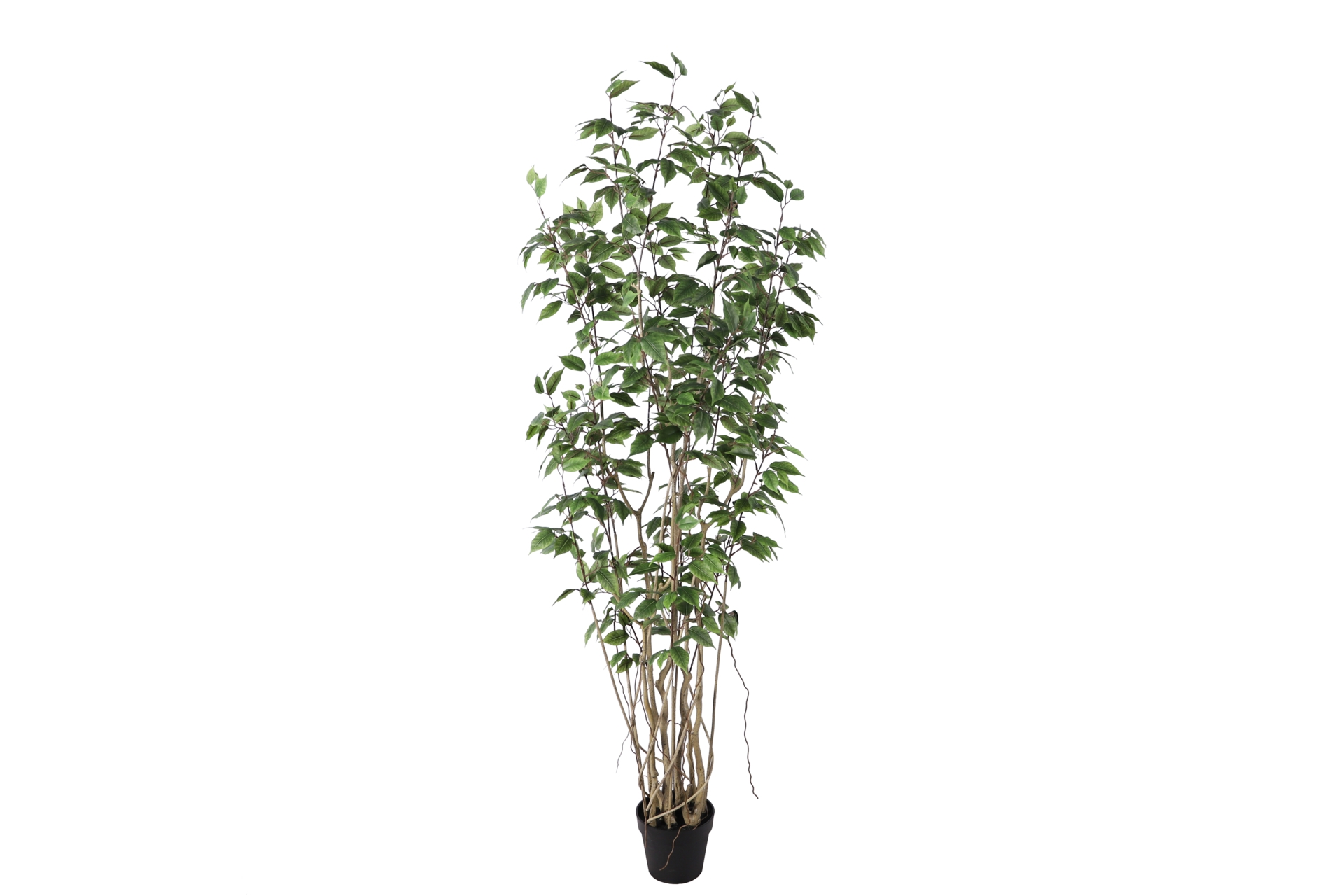 Sztuczny fikus 190 cm