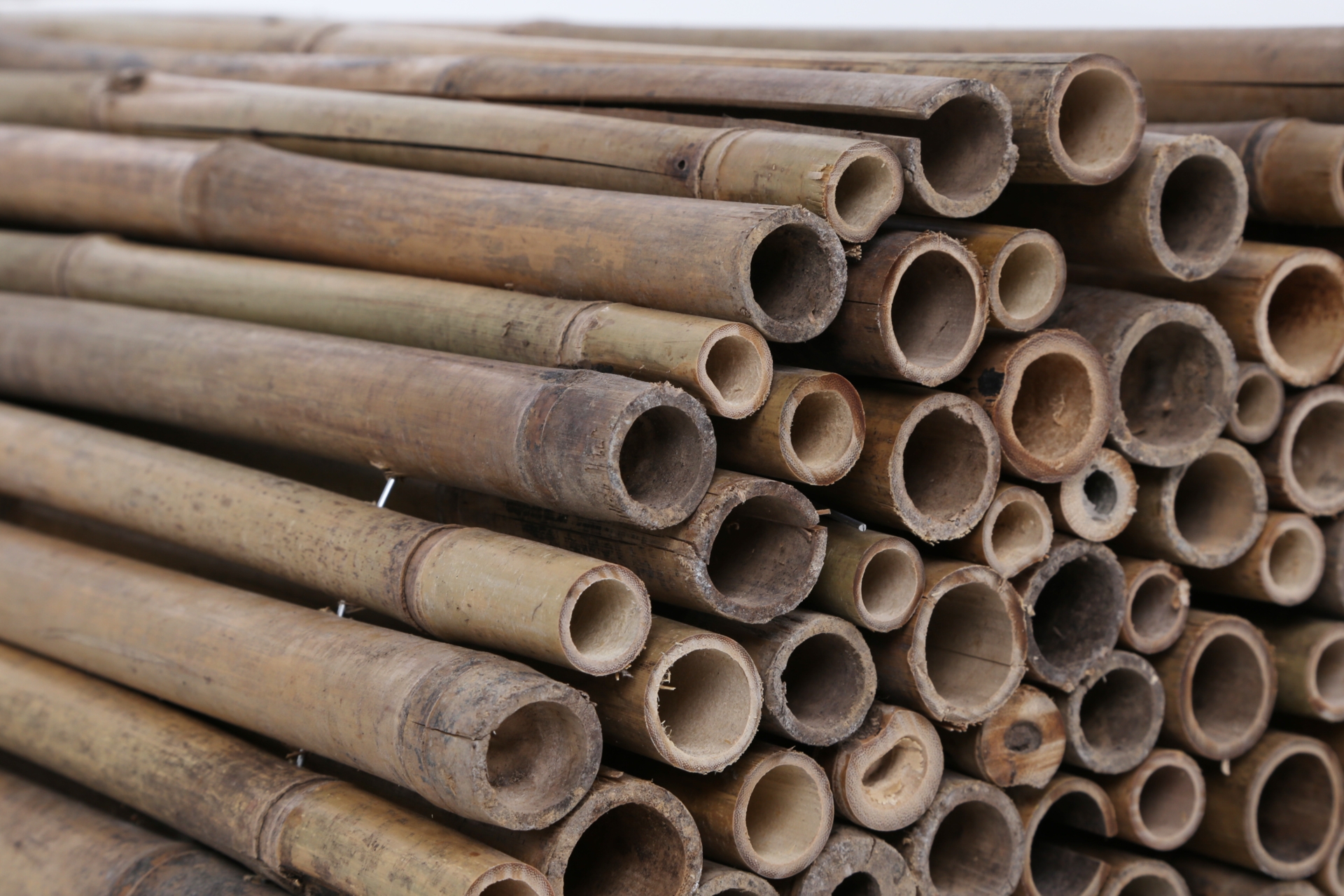 Mata bambusowa 150 x 300 cm