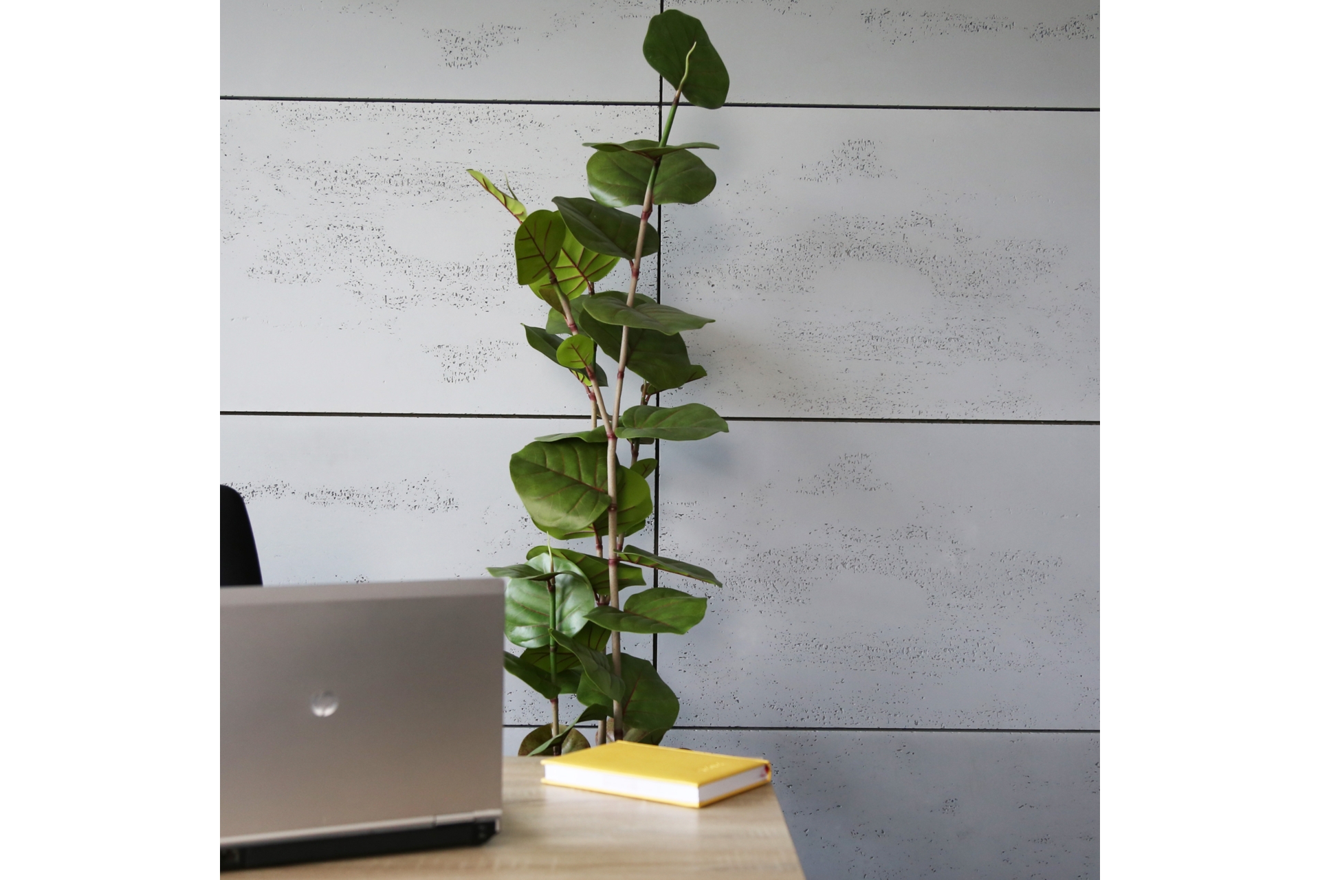 Sztuczna kokkoloba 170 cm