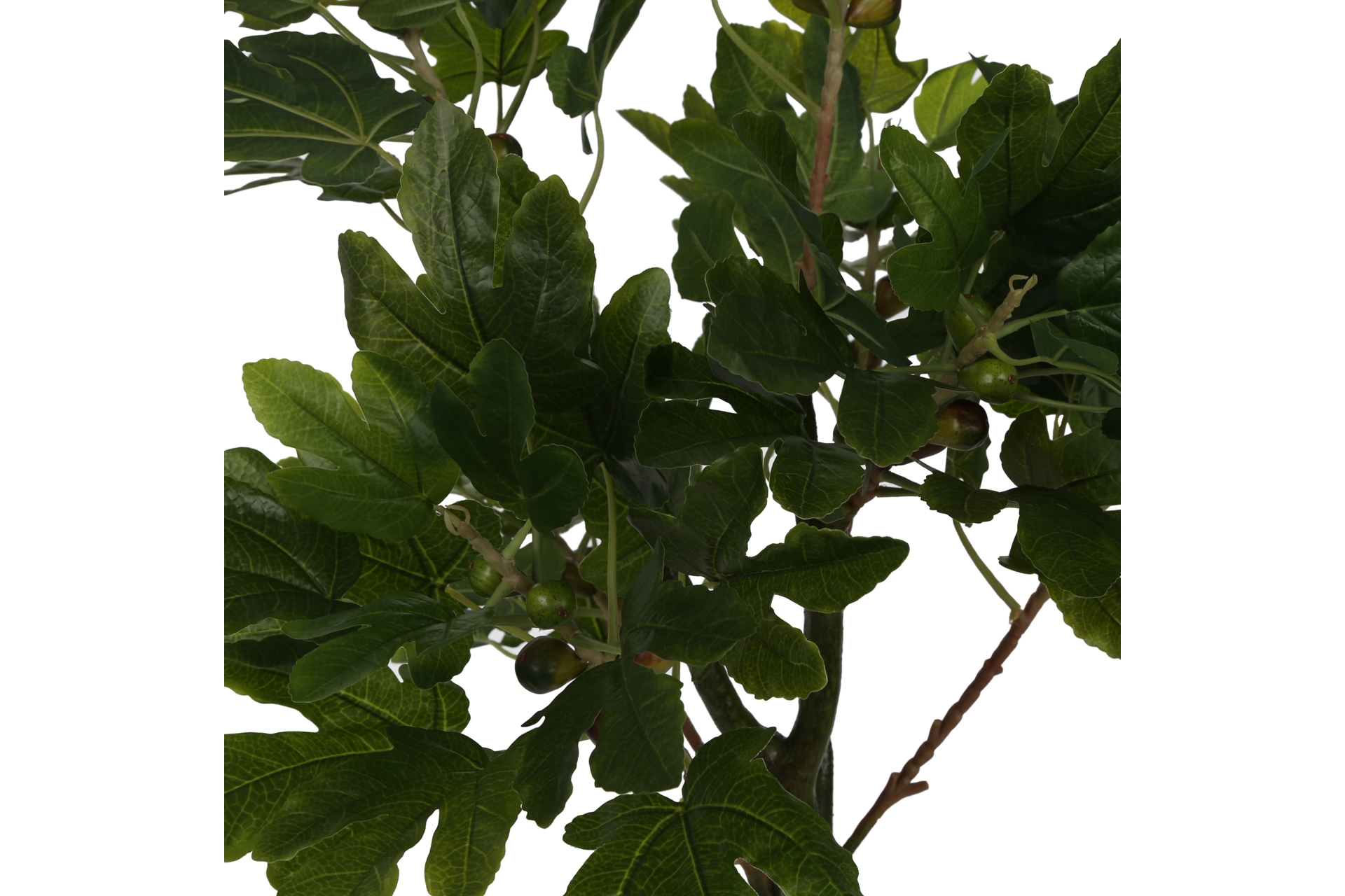 Sztuczny figowiec 160 cm