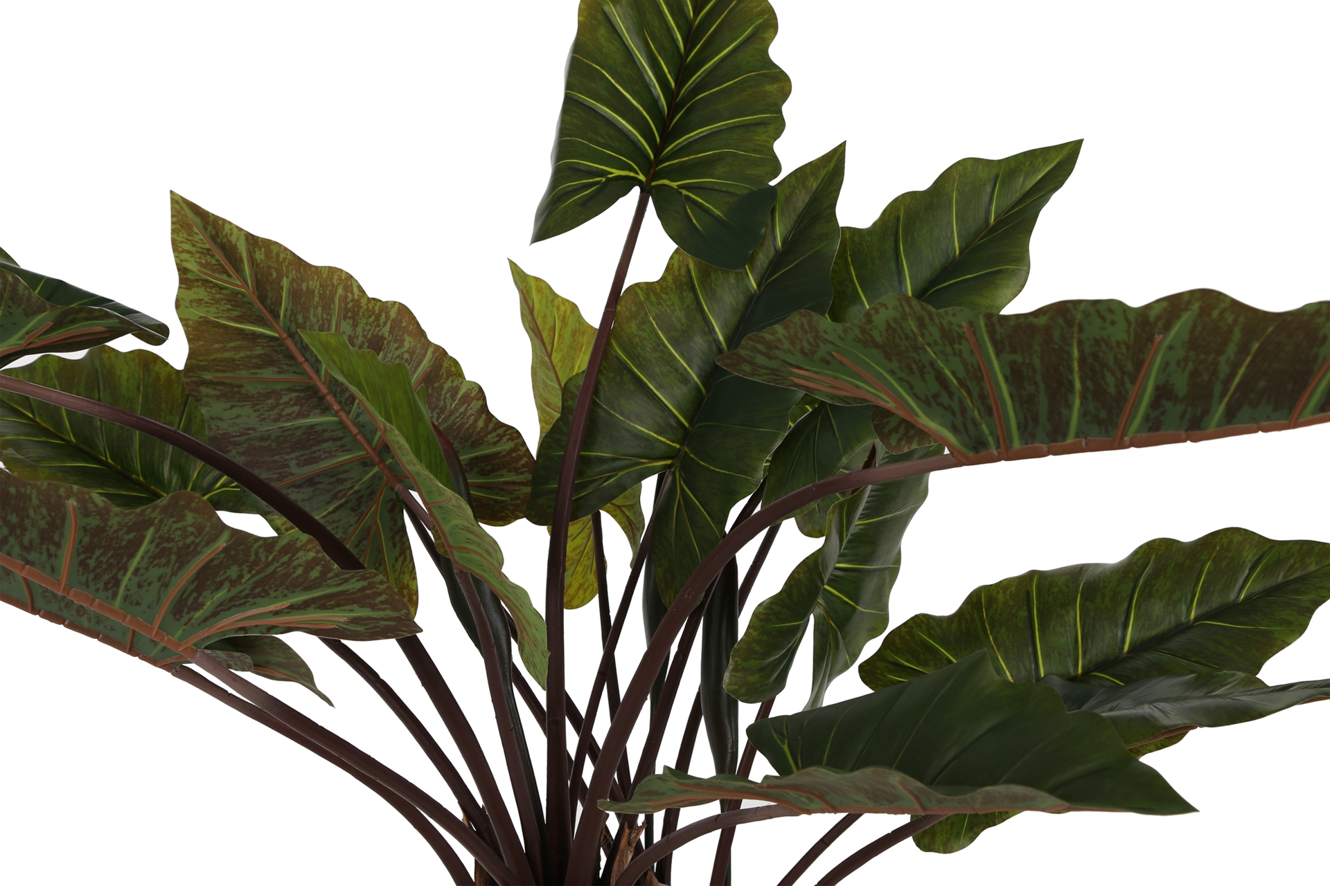 Sztuczna kolokazja 170 cm