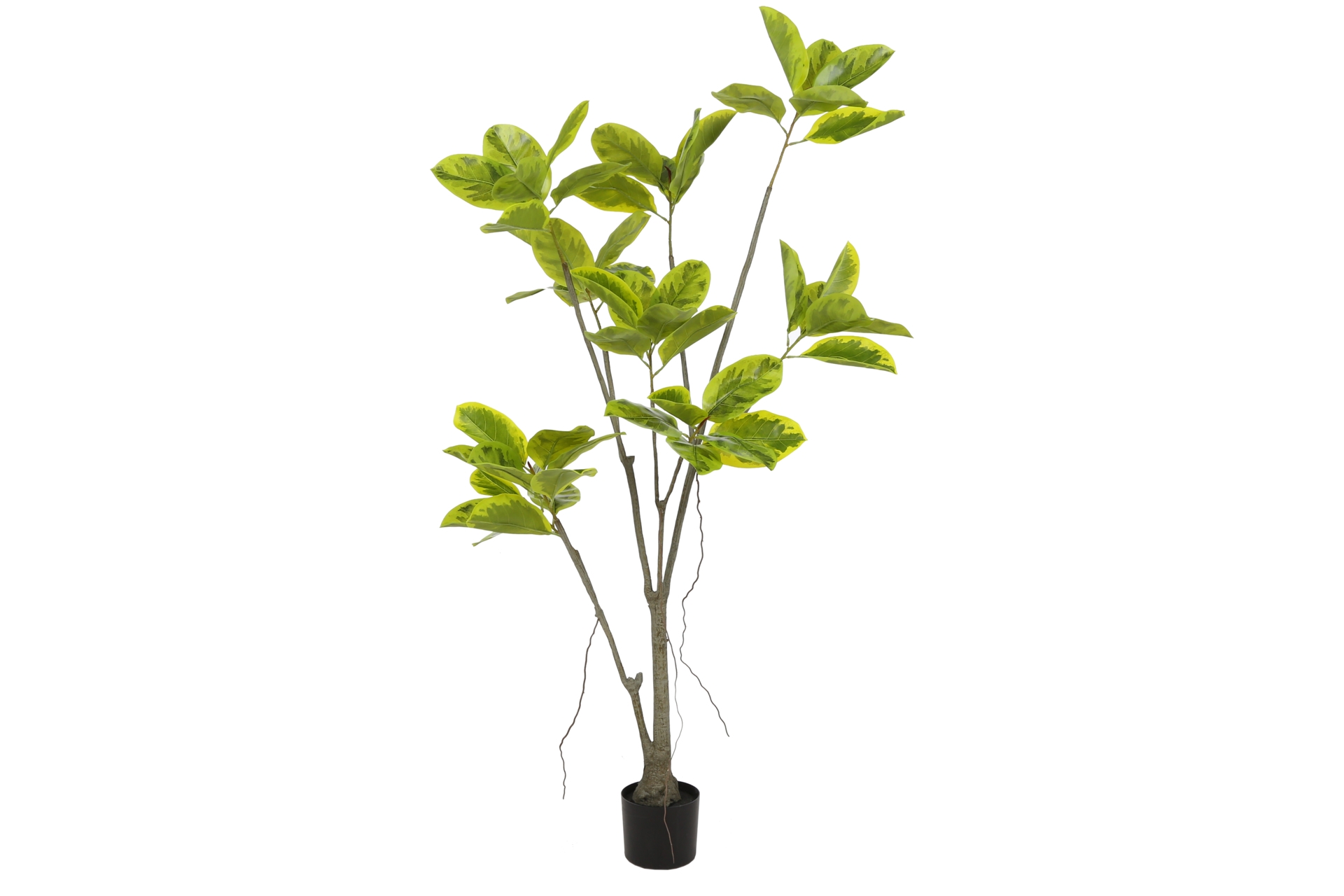 Sztuczny fikus 180 cm