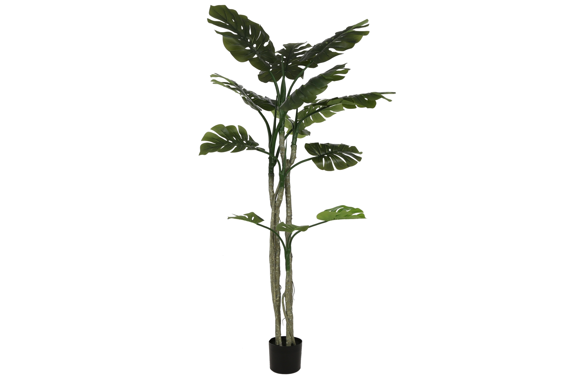 Sztuczna monstera wielopienna 180 cm