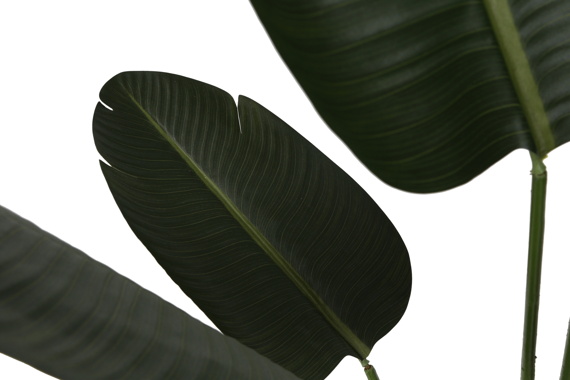 Sztuczna sterlicja 160 cm