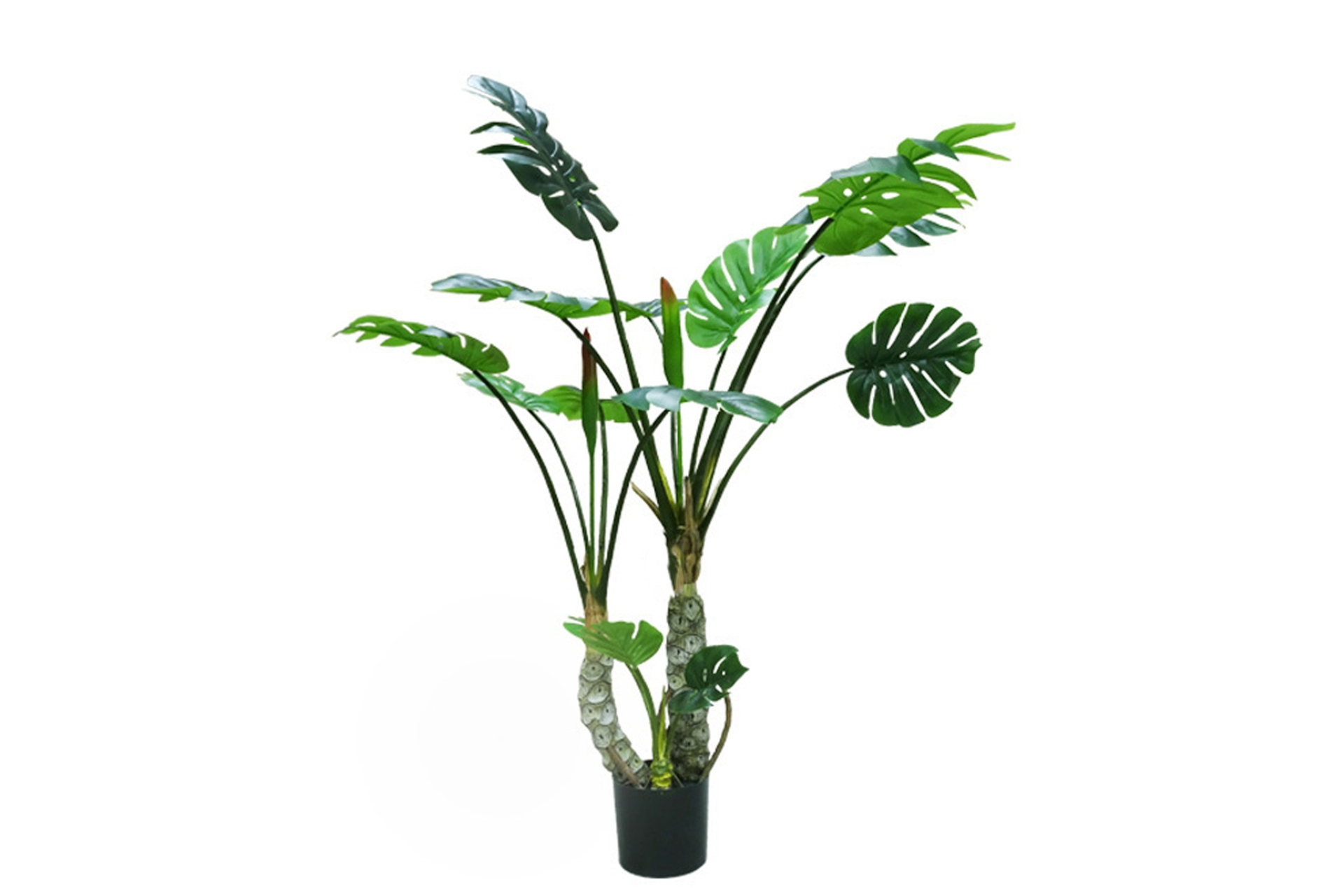 Sztuczna monstera wielopienna 160 cm