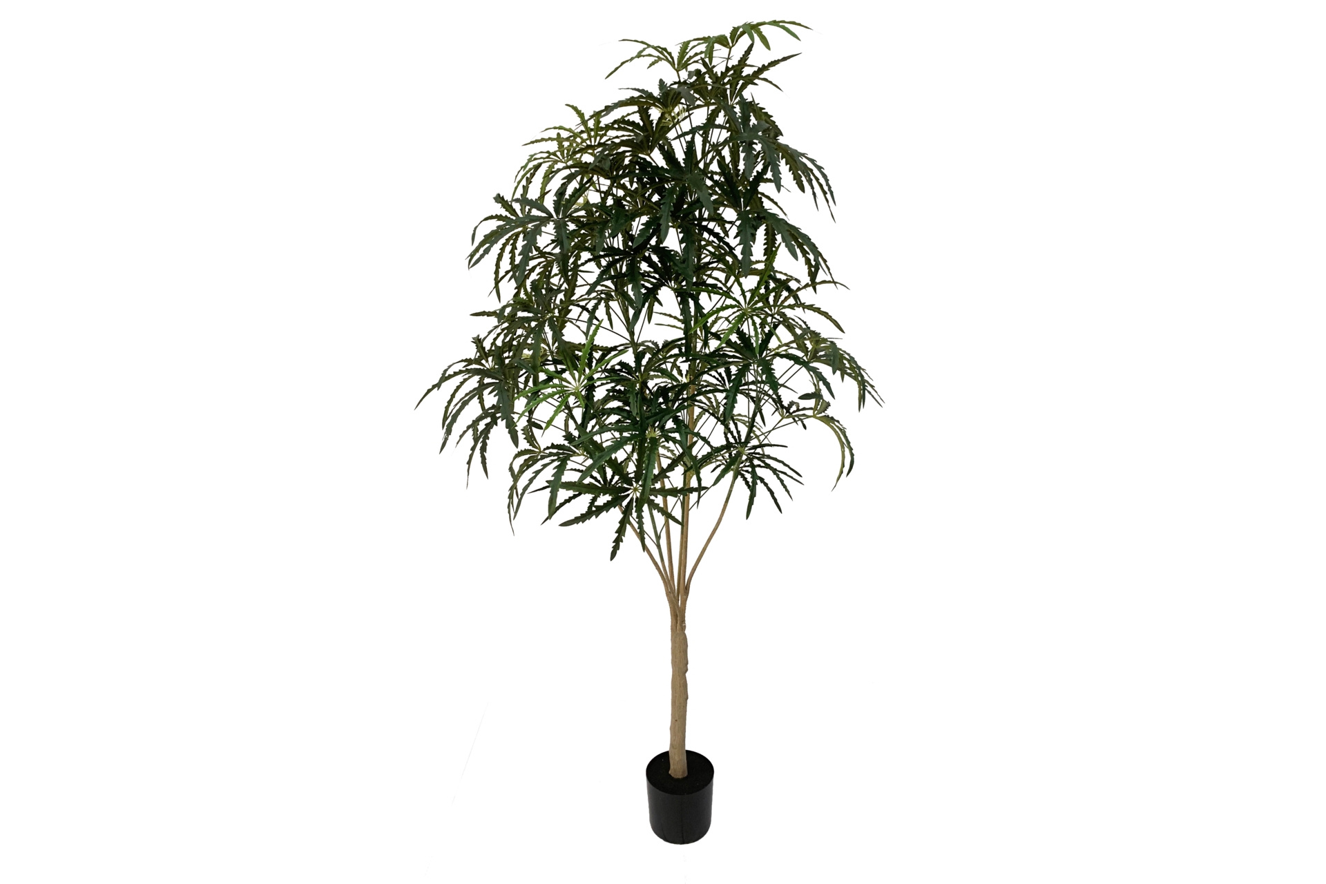 Sztuczna aralia 180 cm