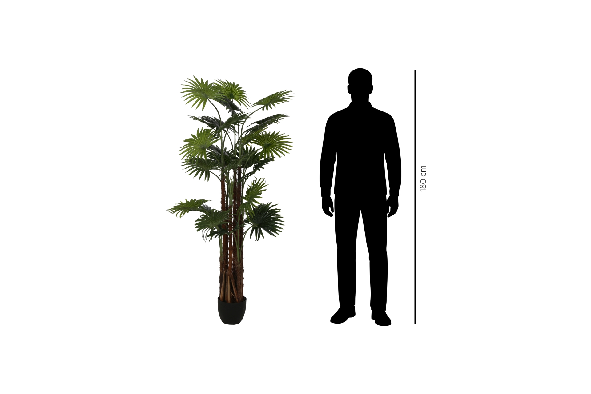 Sztuczna palma wachlarzowa 170 cm