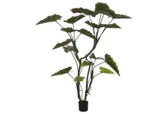 Sztuczna kolokazja 160 cm