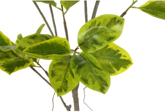 Sztuczny fikus 180 cm