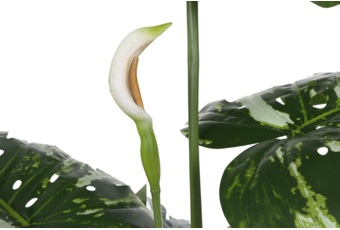 Sztuczna monstera 170 cm