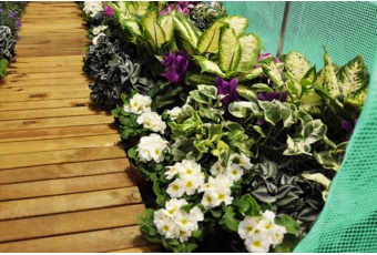 Tunel foliowy 2x3,5 m wzmocniony zielony